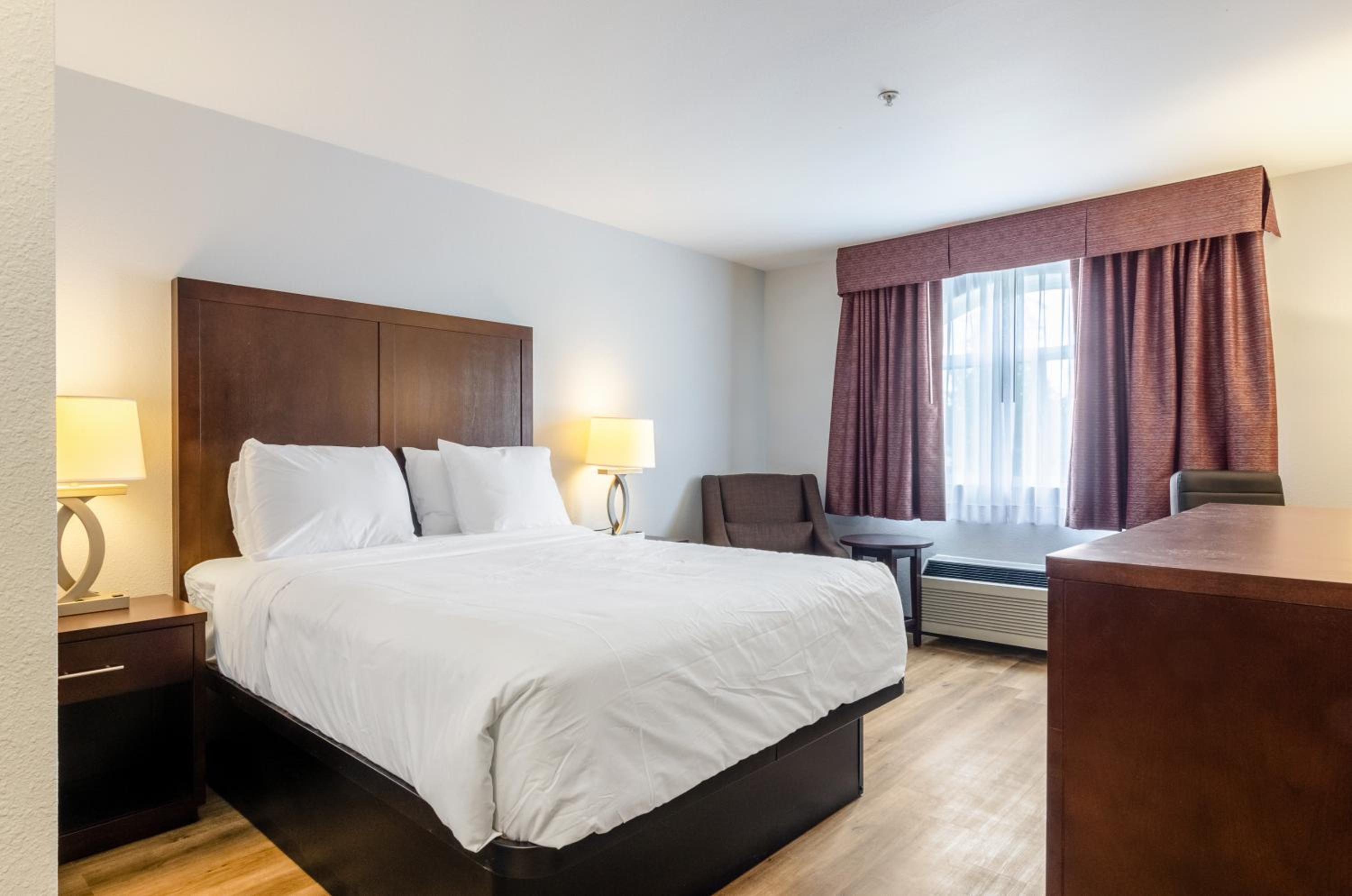 1 Queen Bed - Photo 1