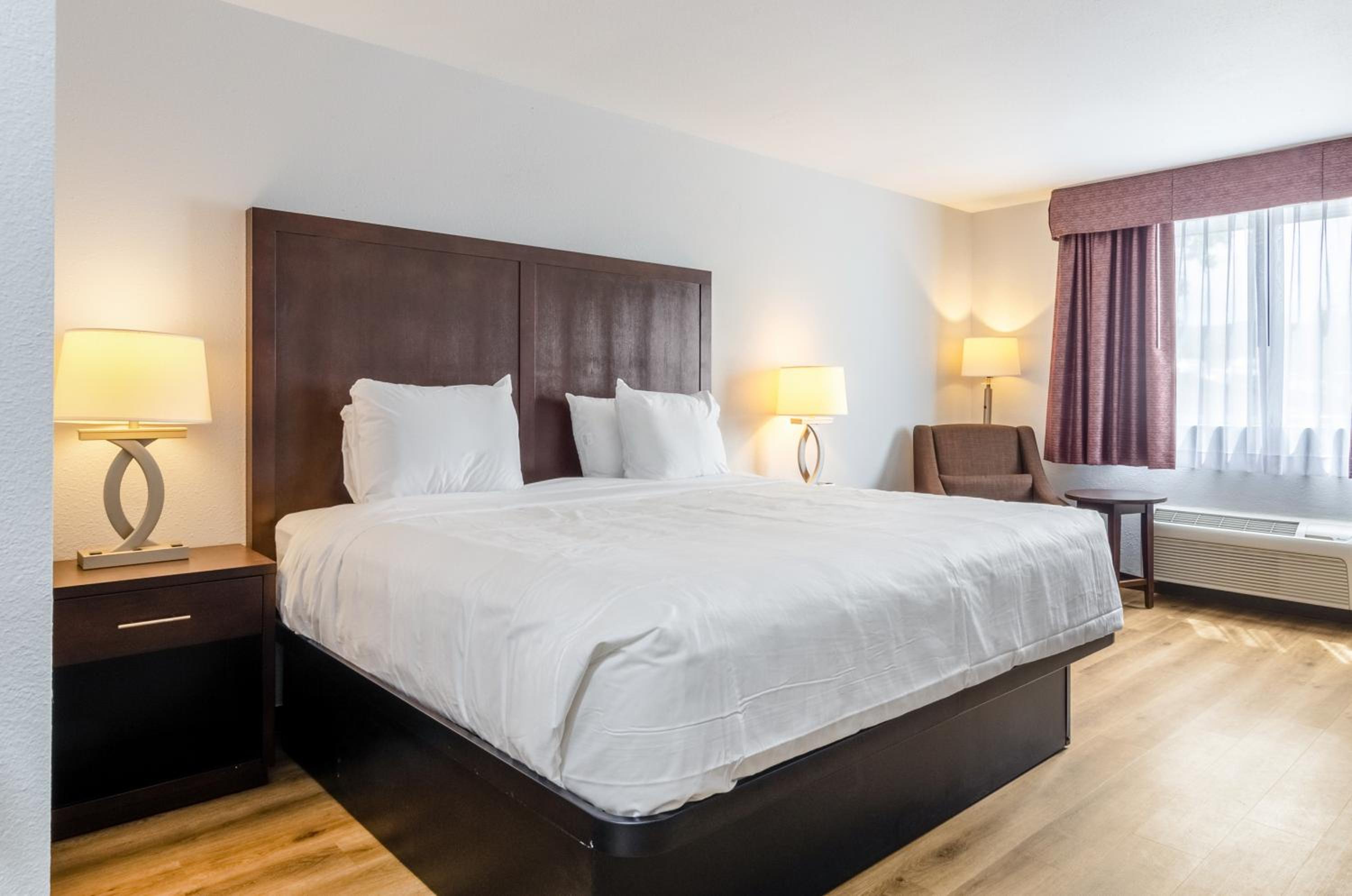1 King Bed  - Photo 1