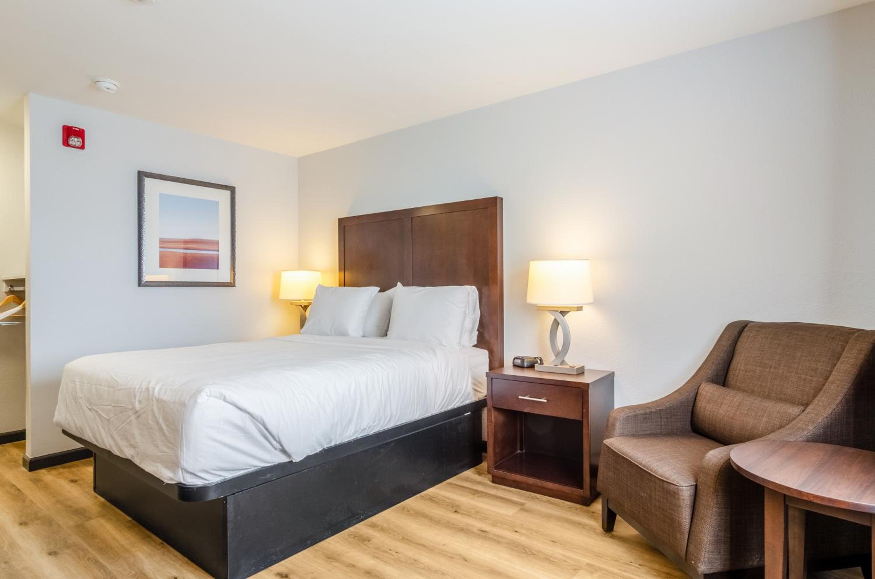 1 King Bed  - Photo 2