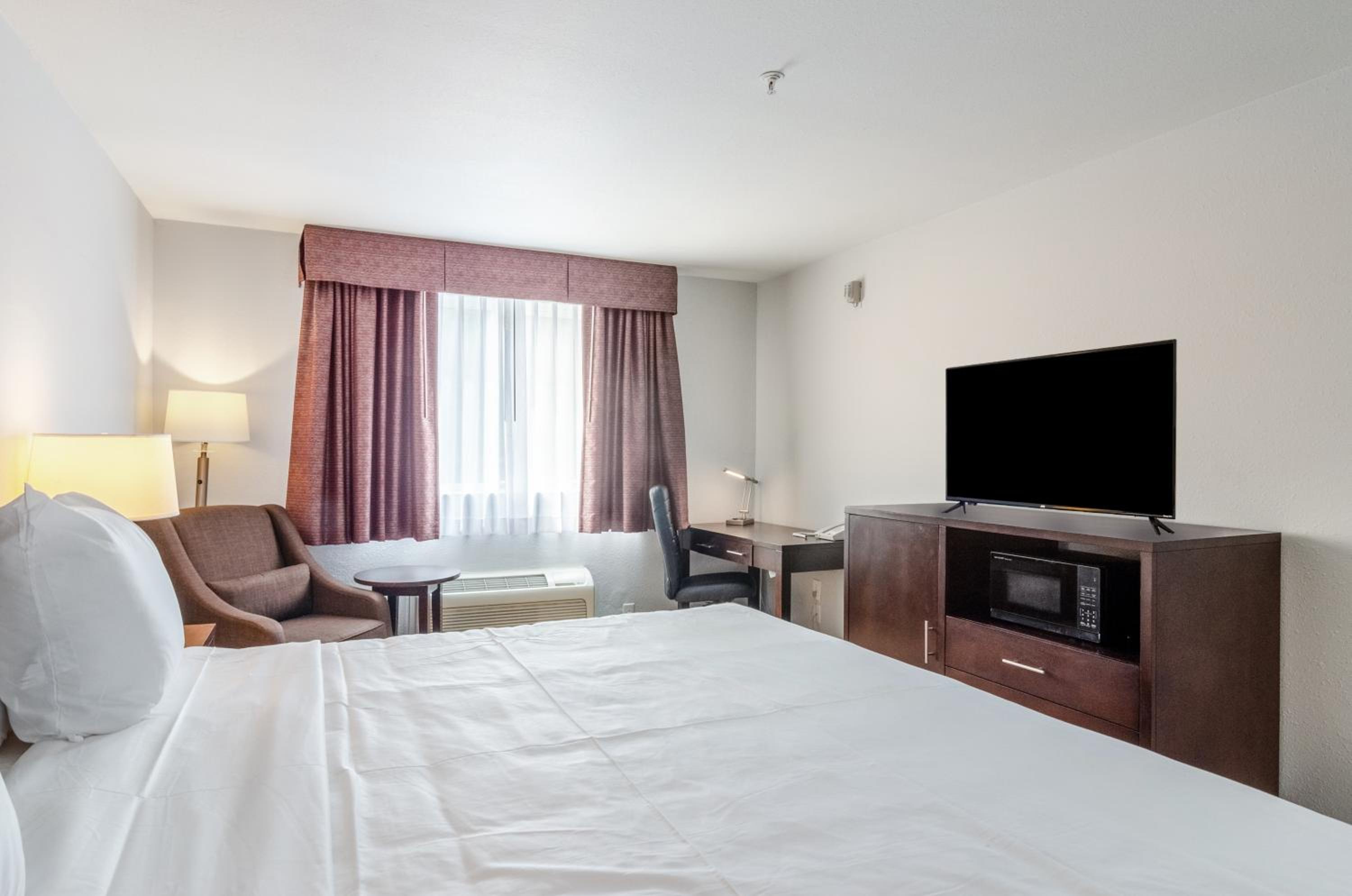 1 King Bed  - Photo 3