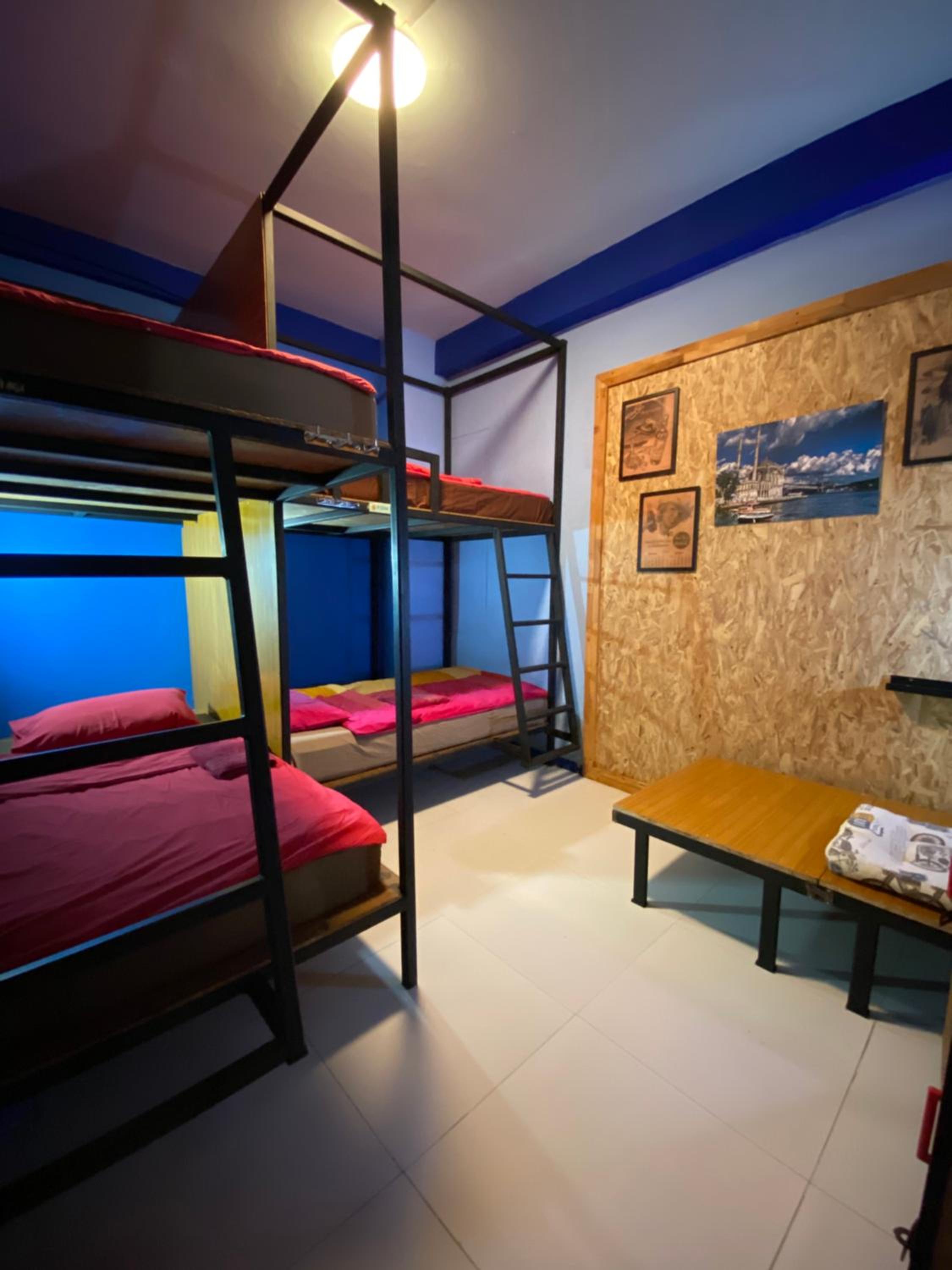 Bunk Bed in Mixed Dormitory Room photo 1