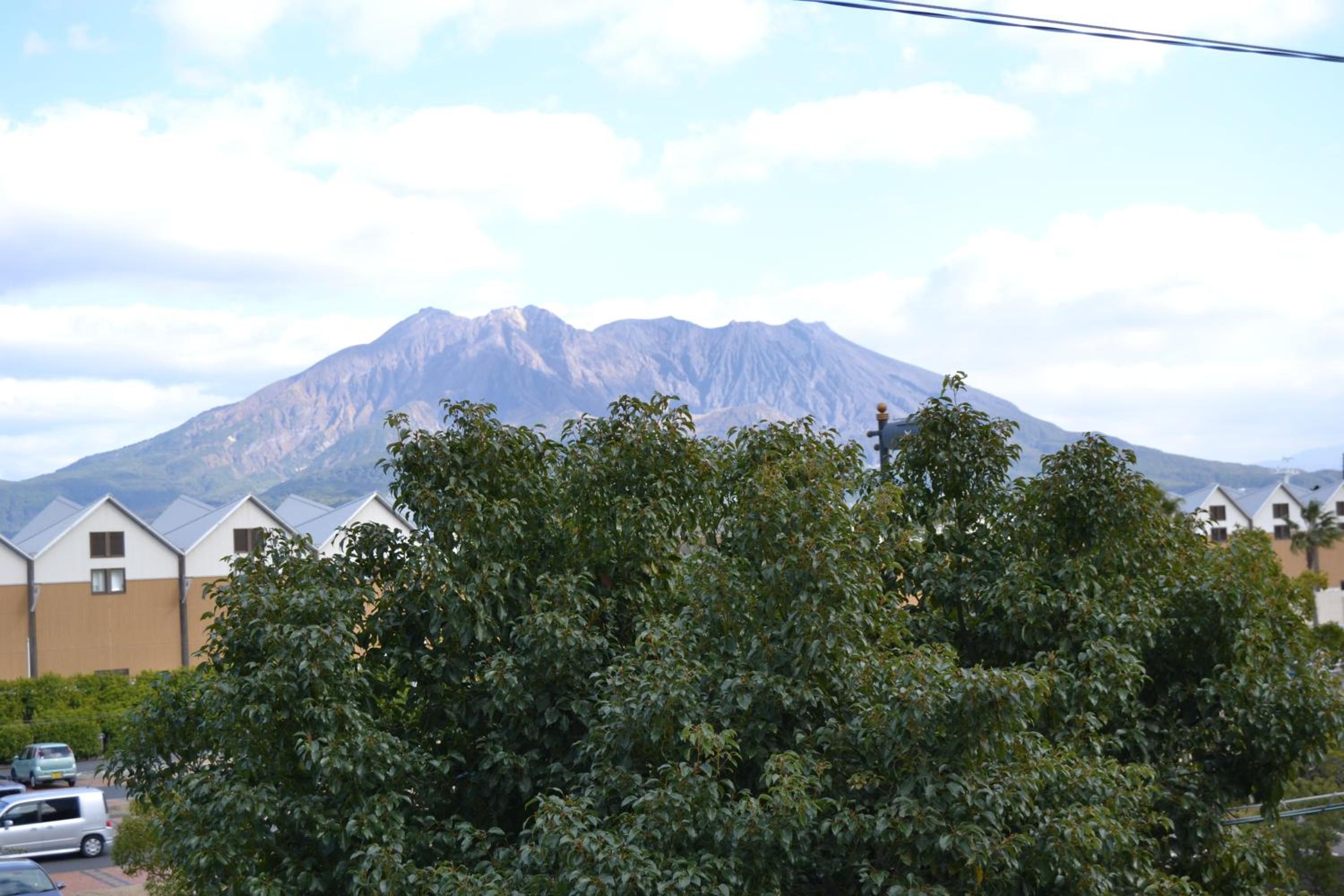 Apartment - Photo 11