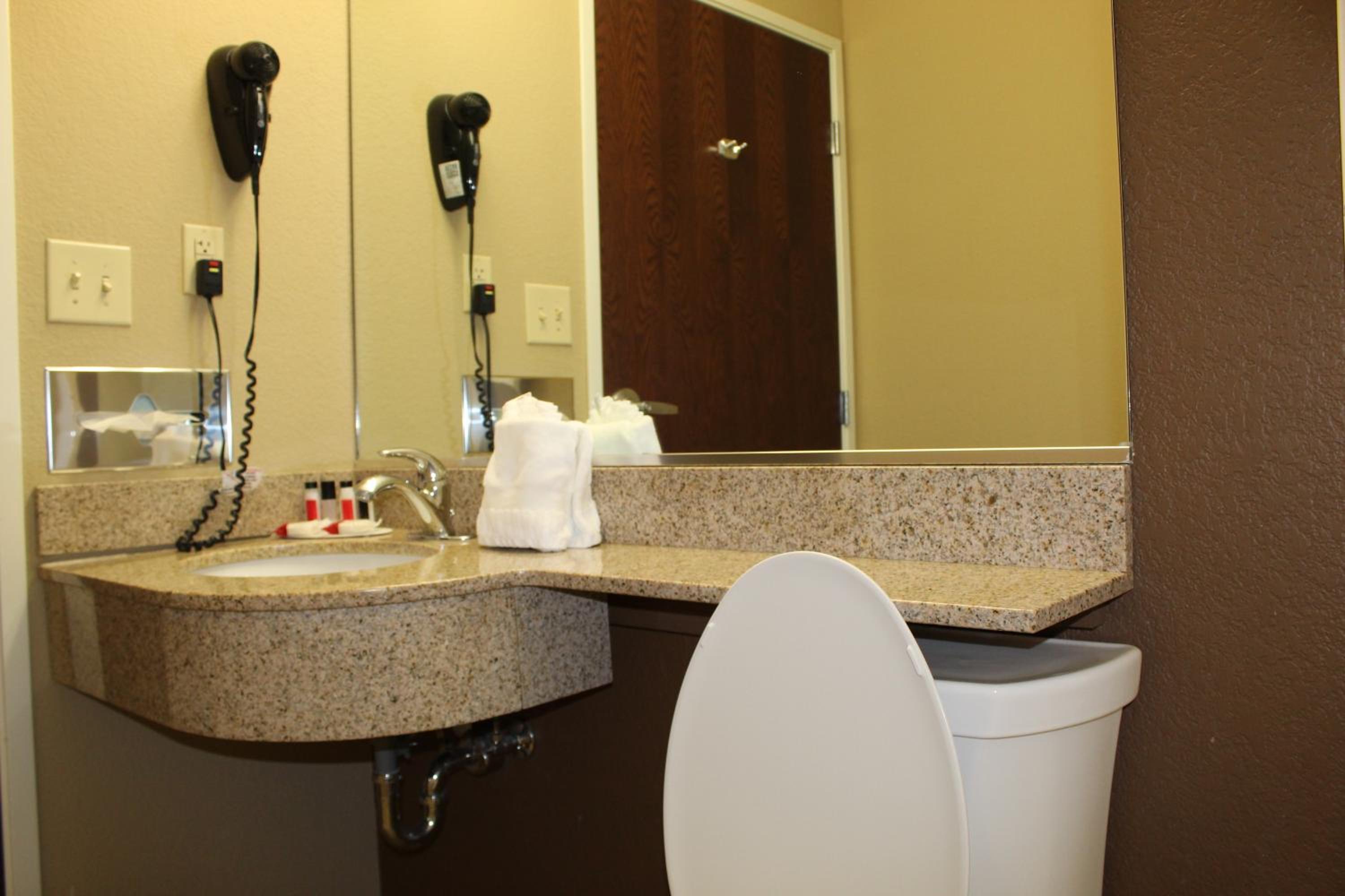 1 Queen Bed, Studio Suite, Jetted Tub, Non-Smoking - Photo 11