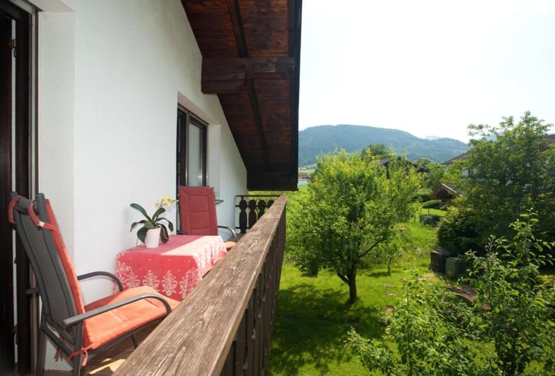 Apartment with Balcony photo 3