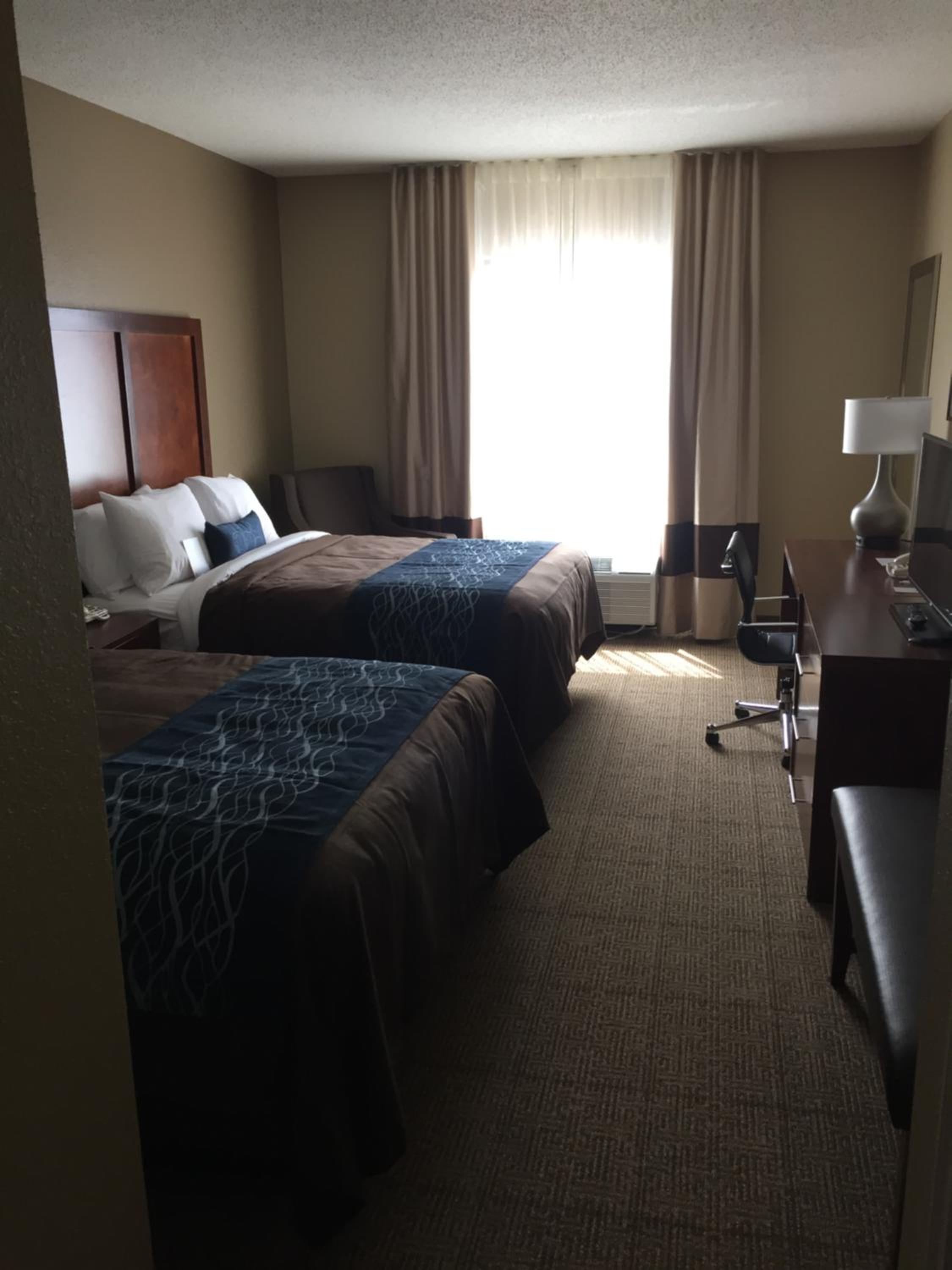 Comfort Inn & Suites Lynchburg Airport - University Area, Fotografia 4