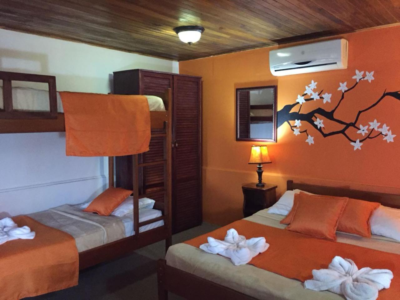 Standard Double Bed and Bunk Bed Room  photo 1