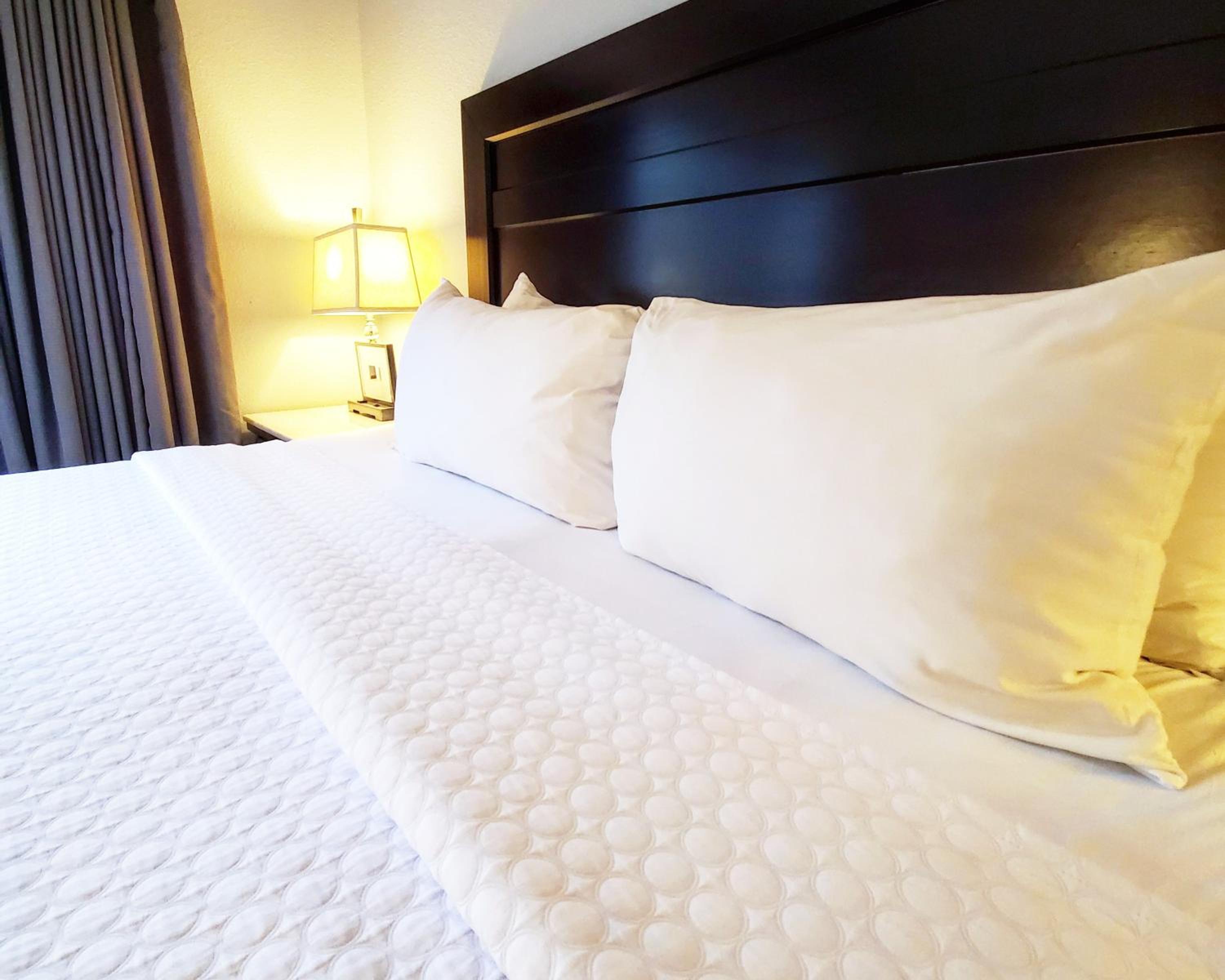 Standard Room - Photo 1