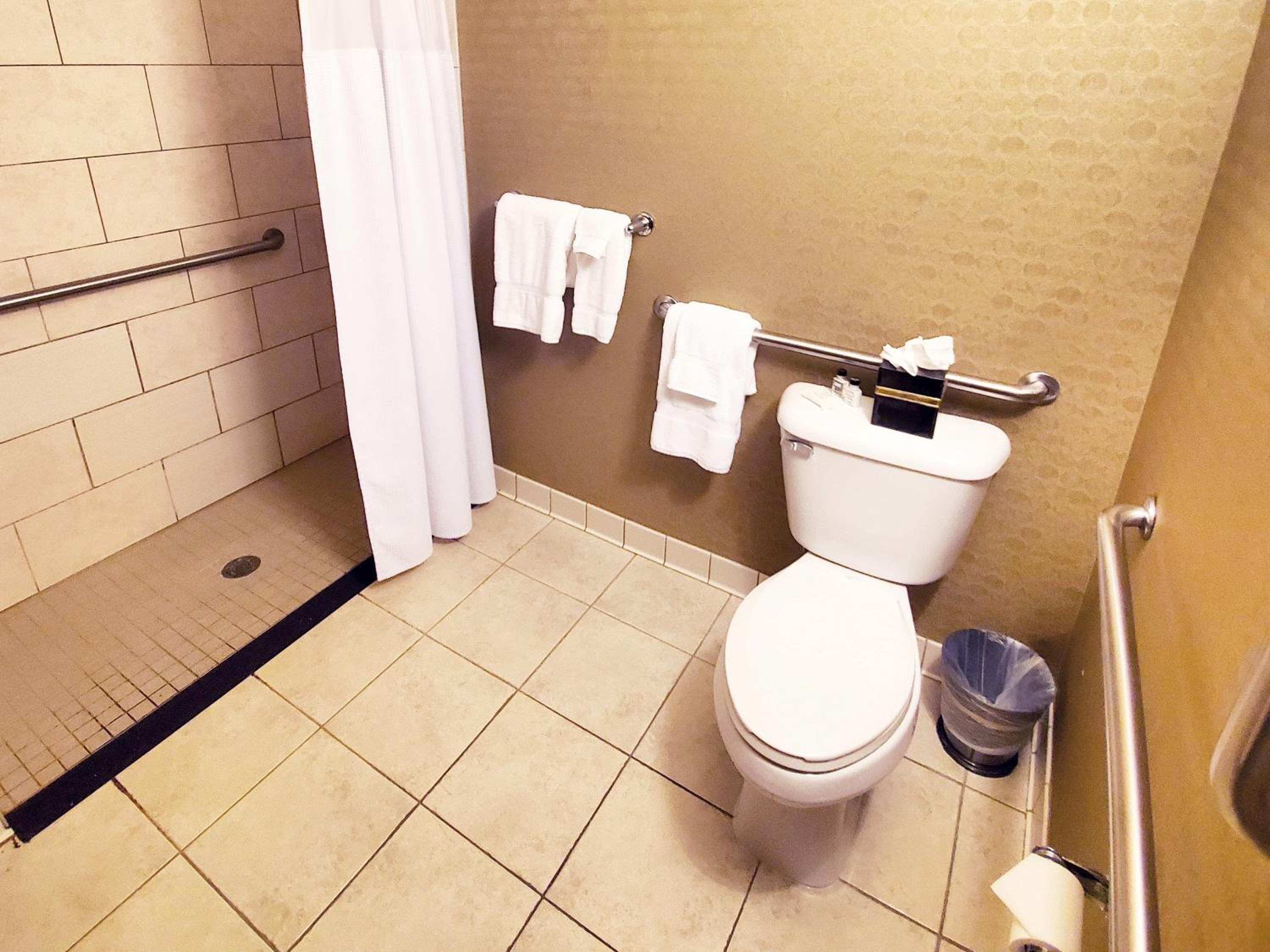 Standard King Room with Mobility Accessible Tub - Photo 7