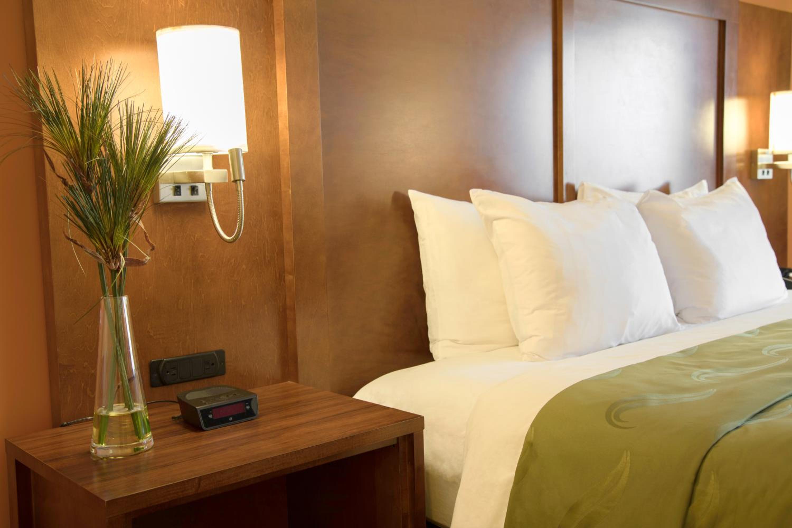 King Room - Non-Smoking - Photo 2