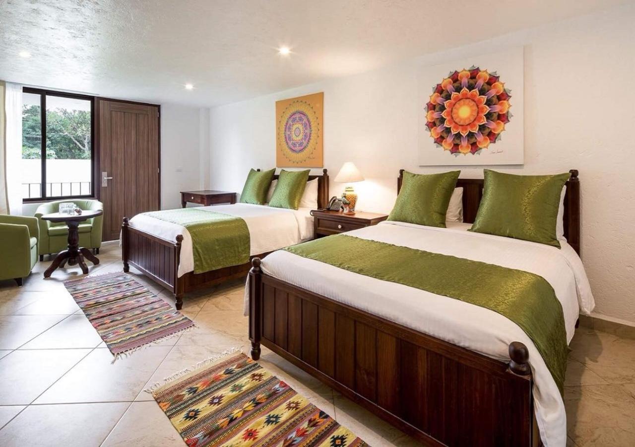 Suite with Terrace photo 3