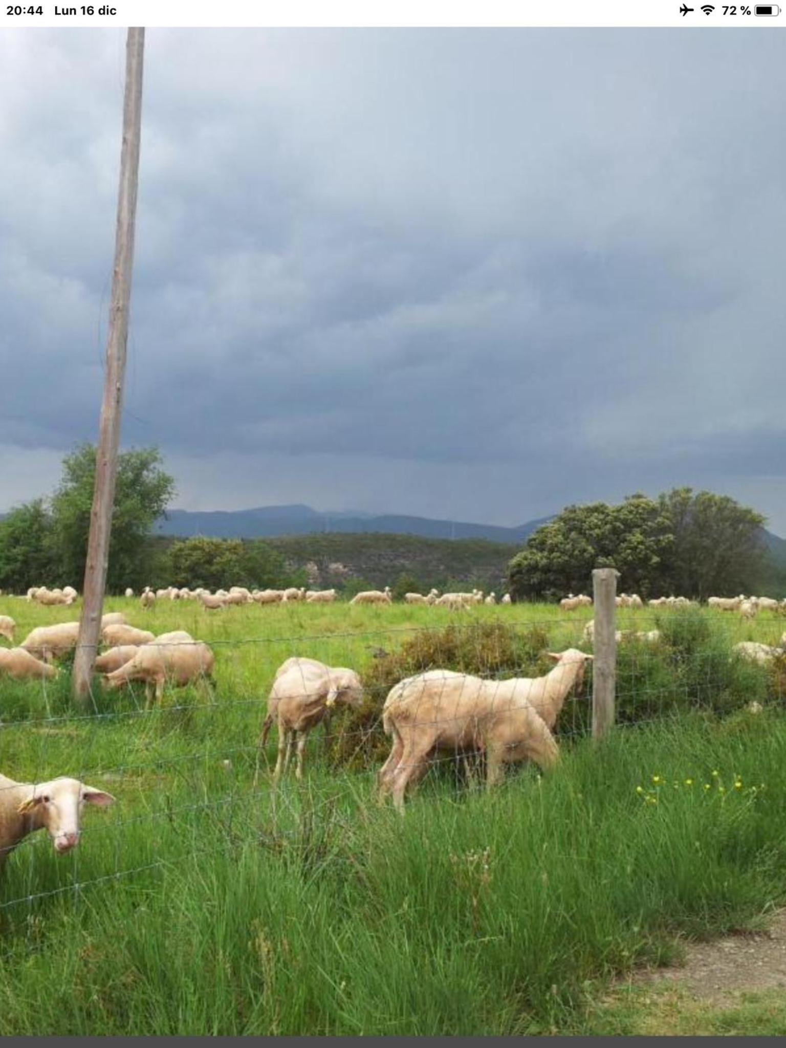 Apartment - Photo 29