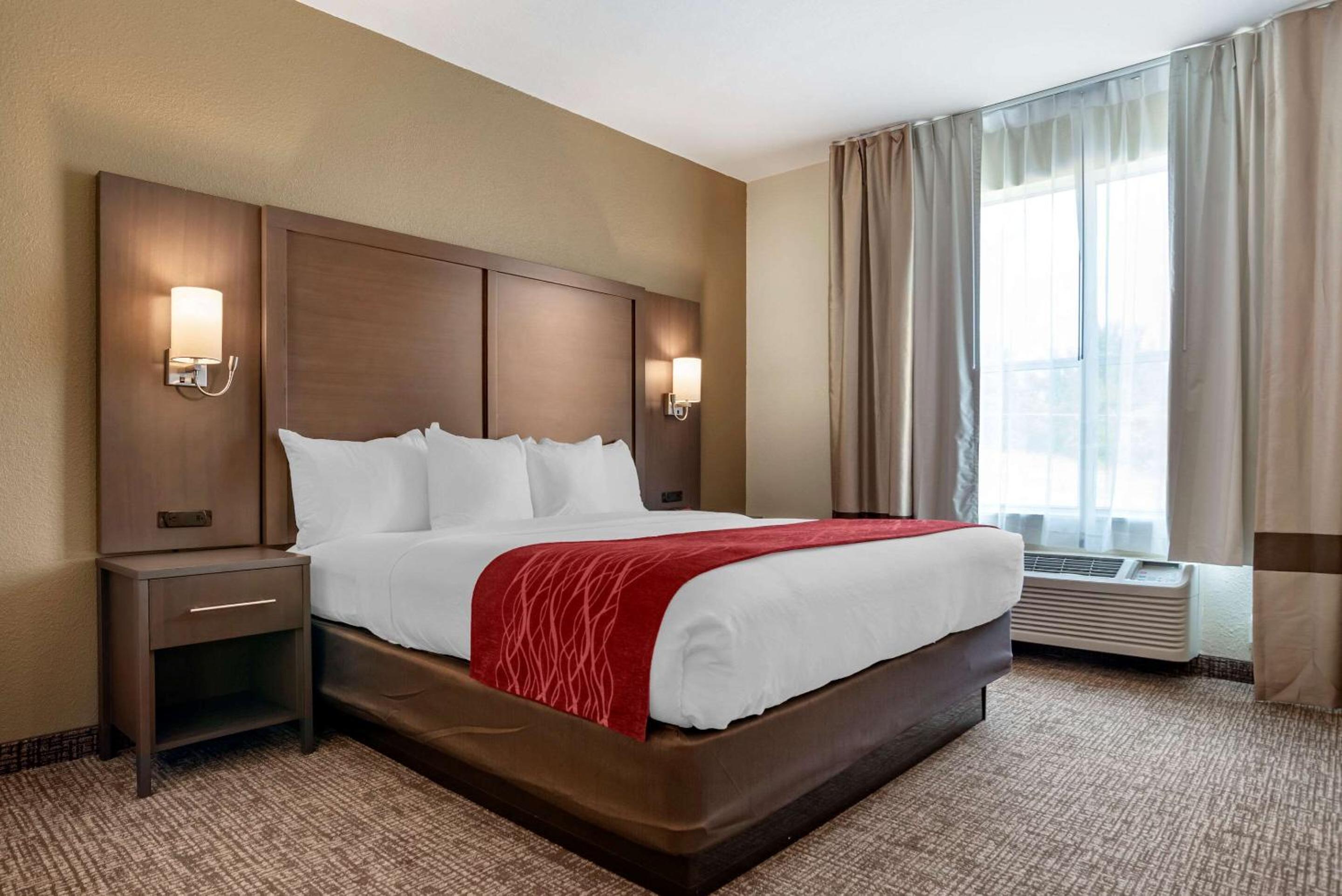 King Suite with Sofa Bed - Non-Smoking - Photo 4