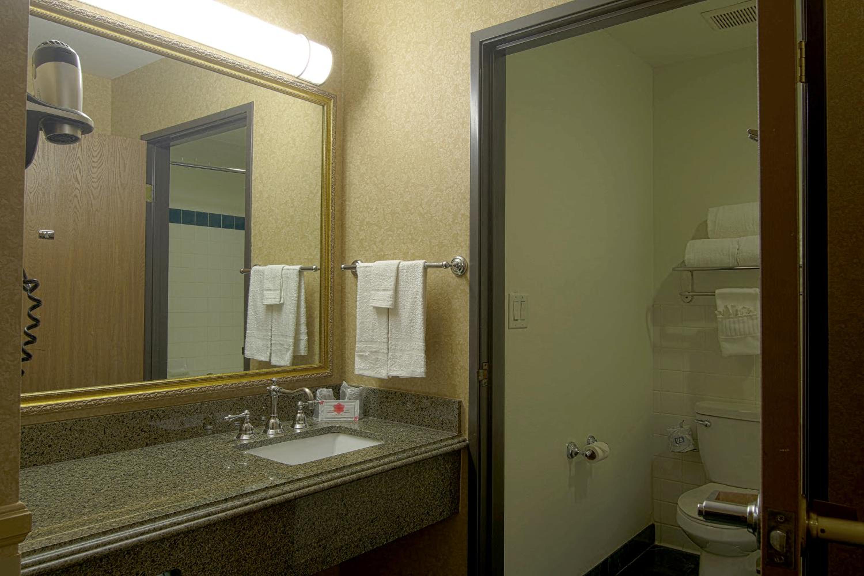 Deluxe King Room - Non-Smoking - Photo 5