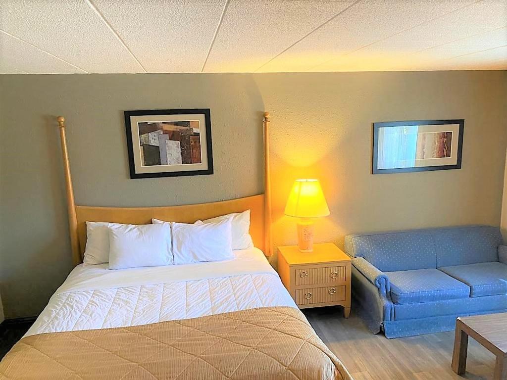 Single Room - Disability Access photo 1