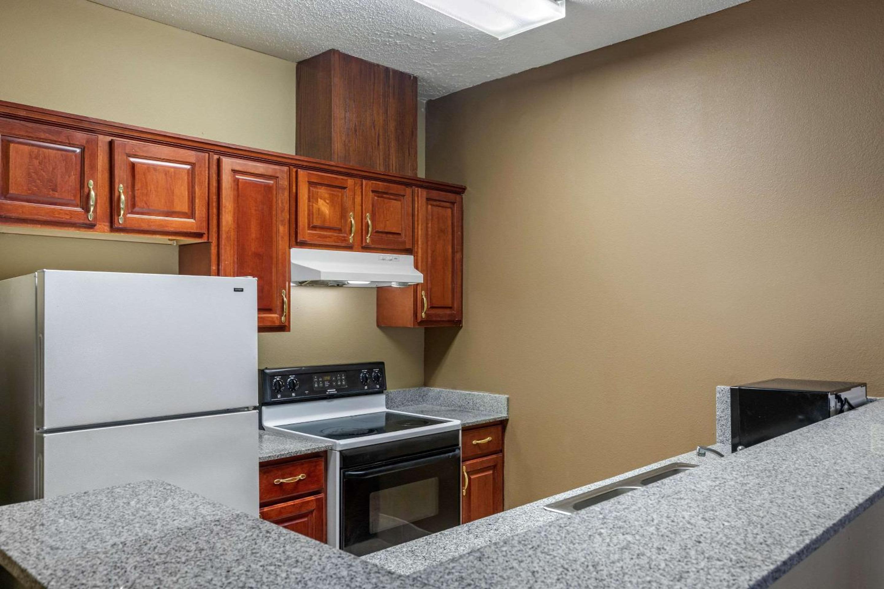 One-Bedroom Suite - Photo 3