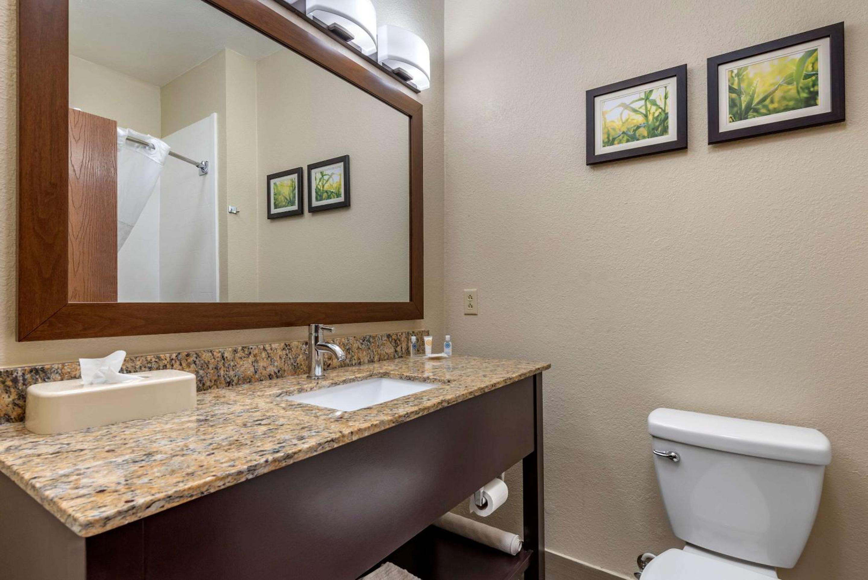 King Suite - Non-Smoking - Photo 2