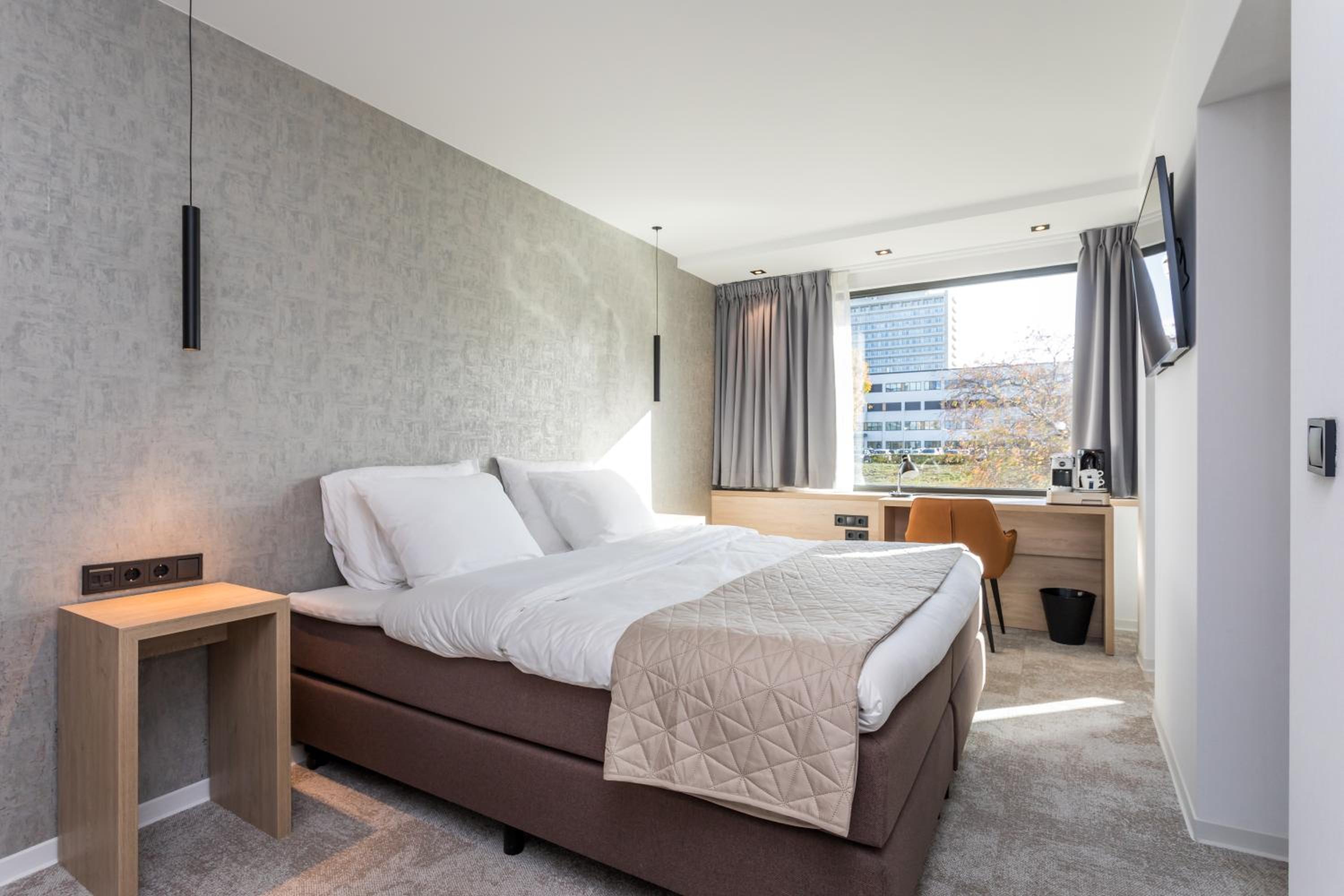 Standard Suite