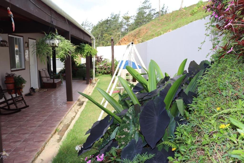Double Room with Park View photo 2