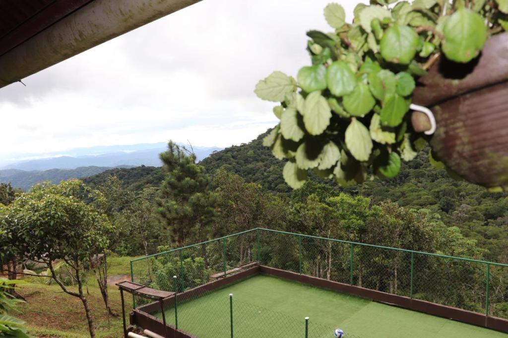 Double Room with Park View photo 1