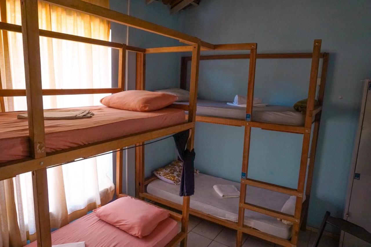 Bed in 6-Bed Mixed Dormitory Room photo 1