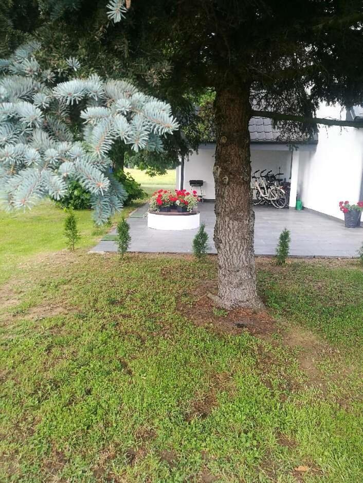 Vacation Home - Photo 12