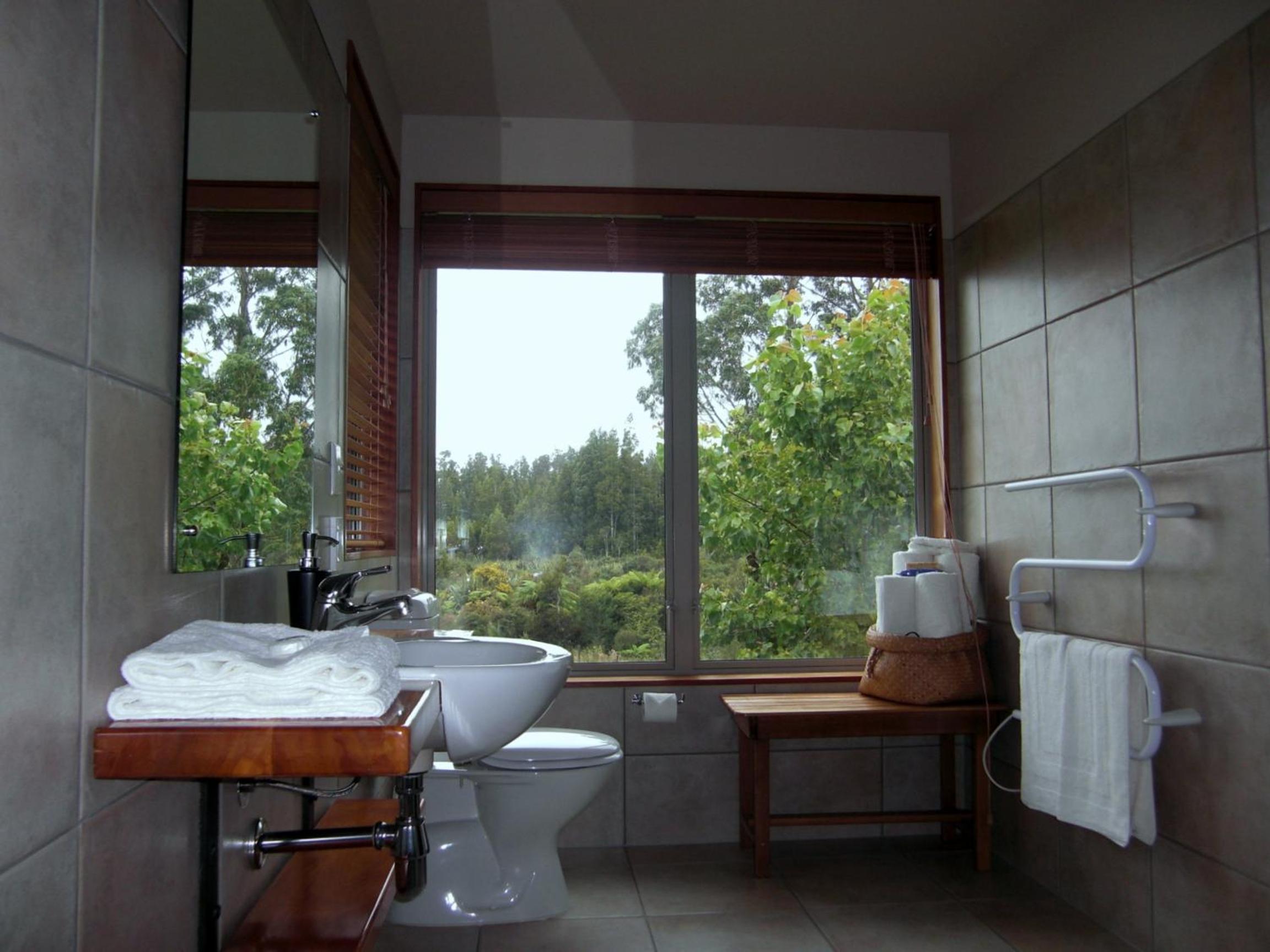 Deluxe King Room with Shower photo 3