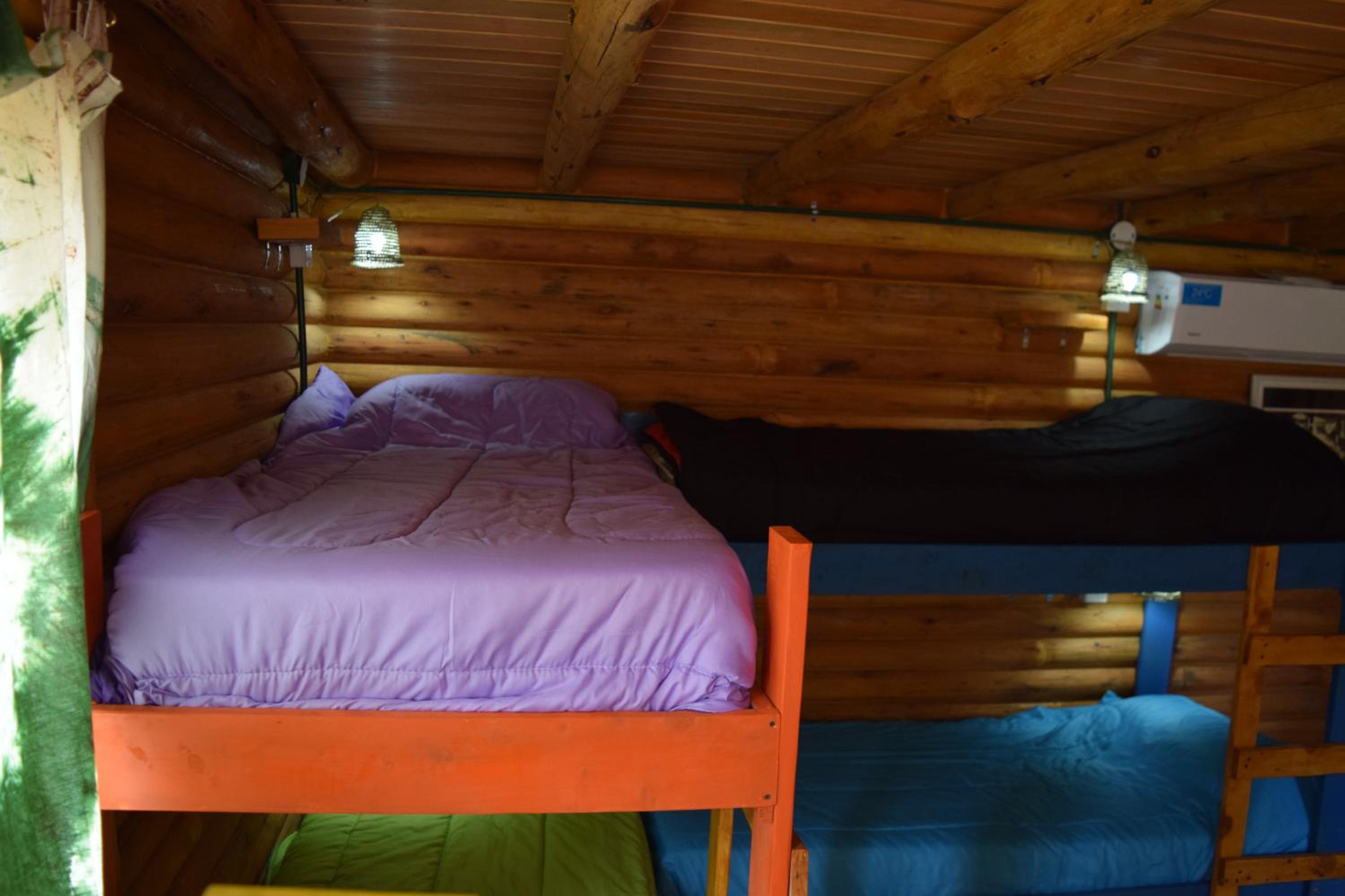 Single Bed in Mixed Dormitory Room photo 2