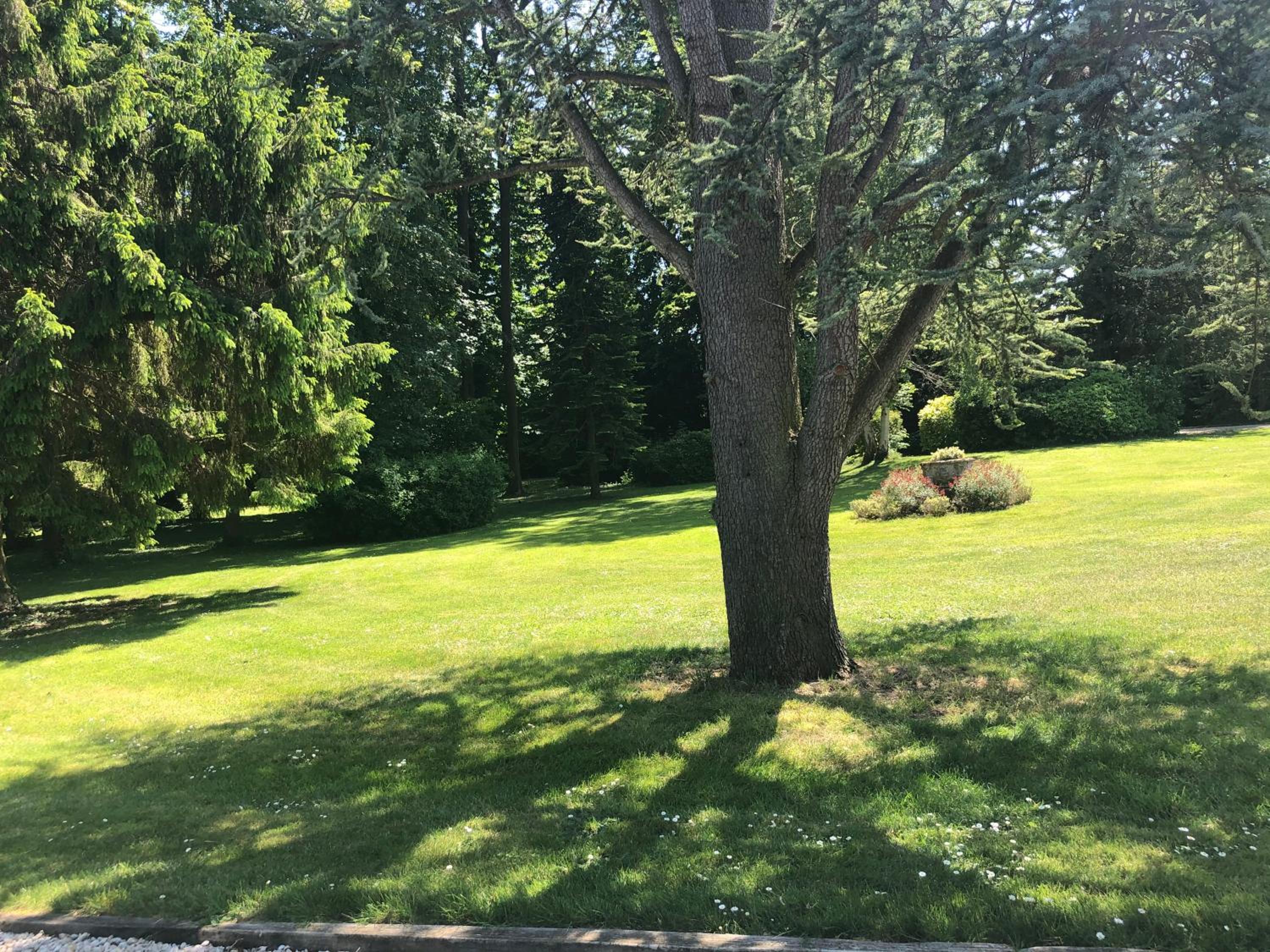 Double Room with Pool View photo 2