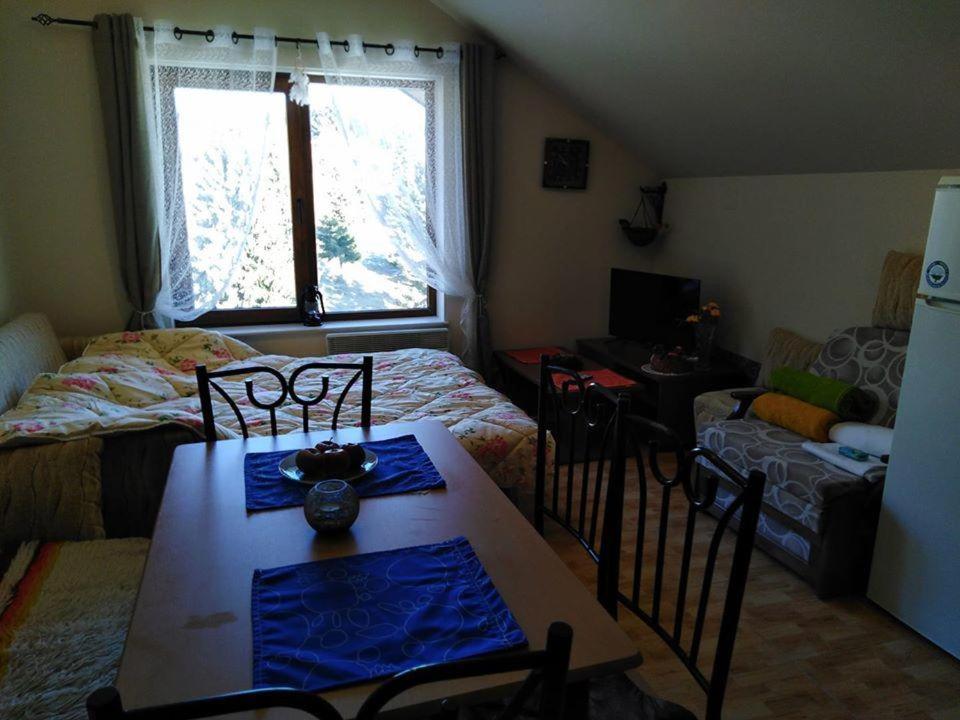 Apartment with Mountain View