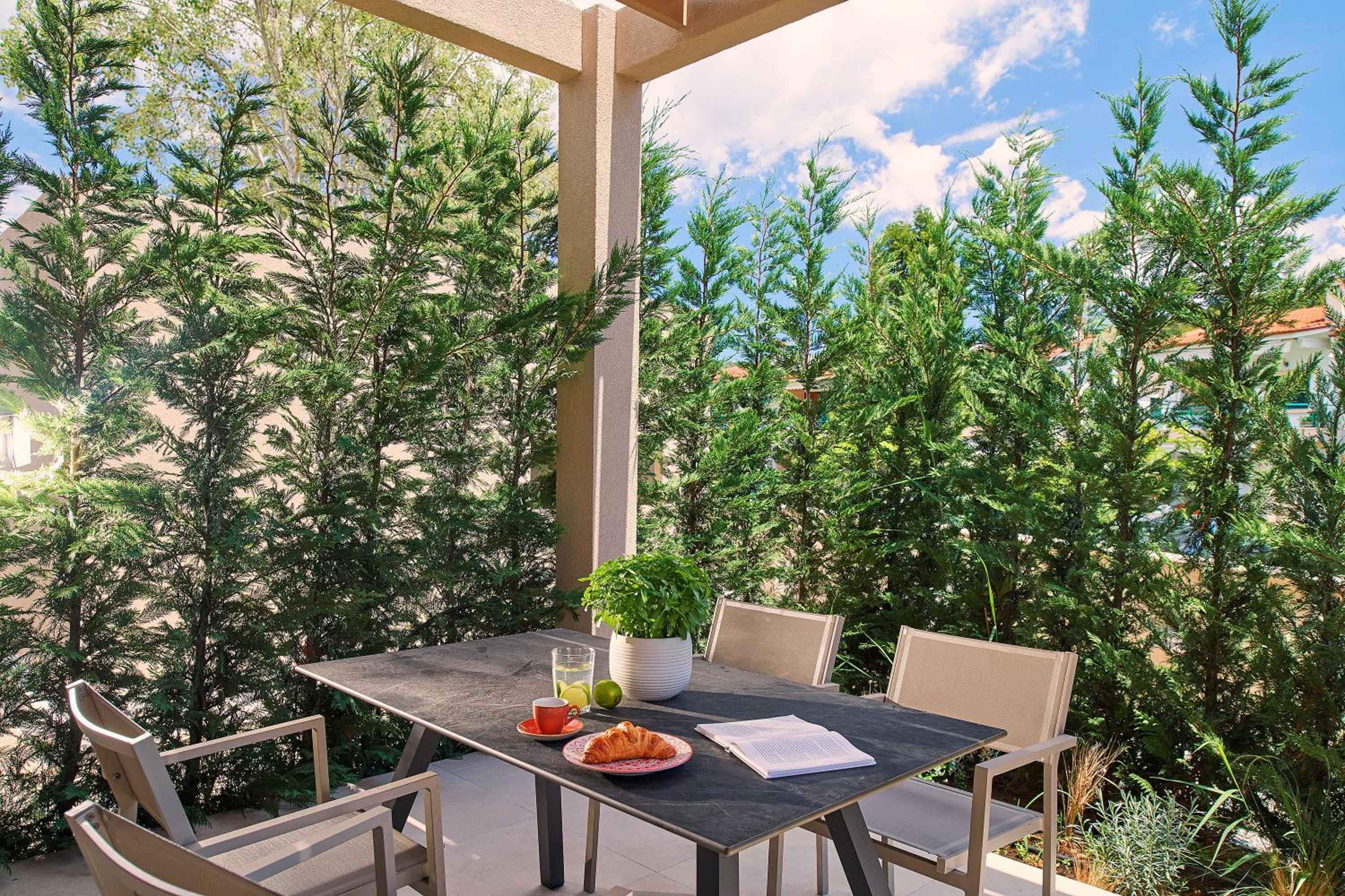 Executive Suite with Private Pool photo 3