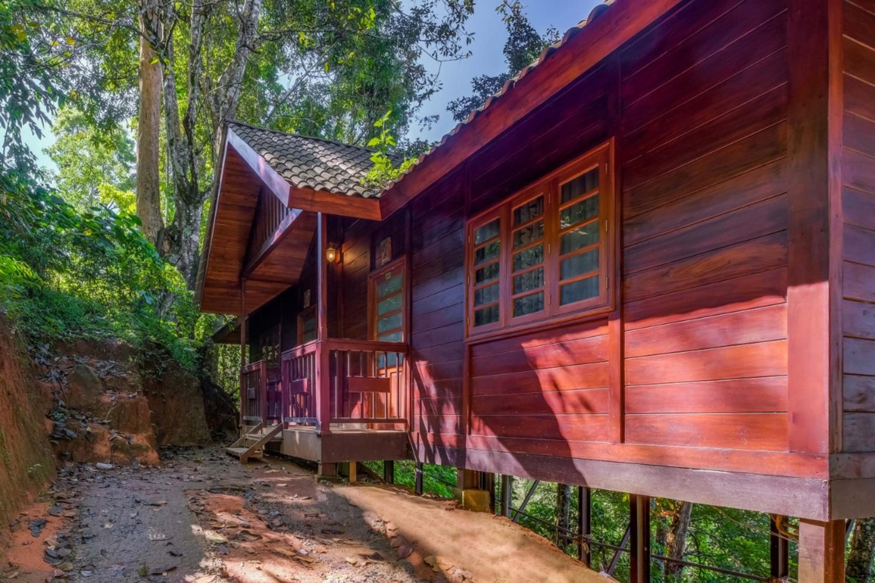Wooden Cottage  - Photo 5