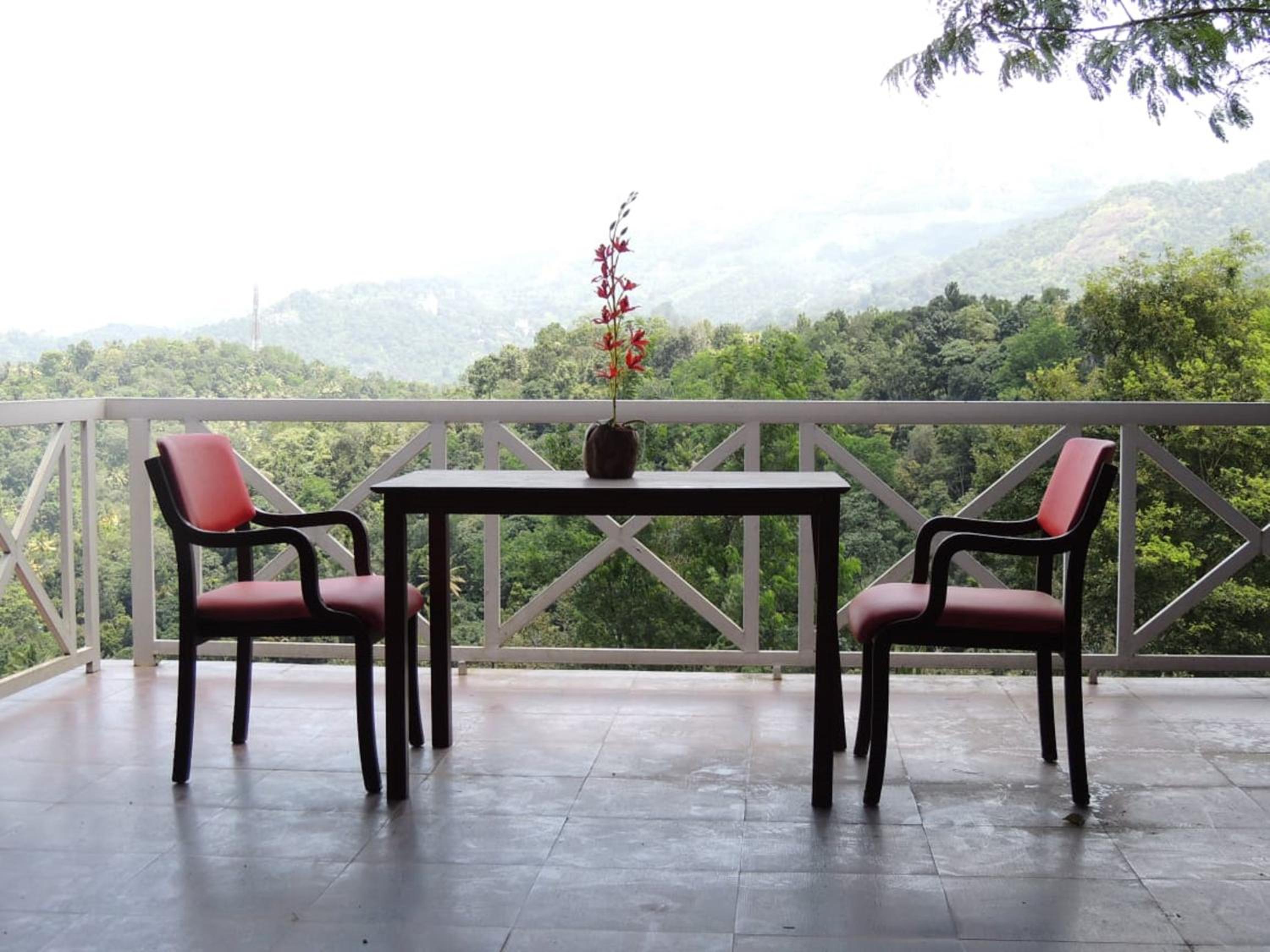Mountain View Cottage - Photo 2