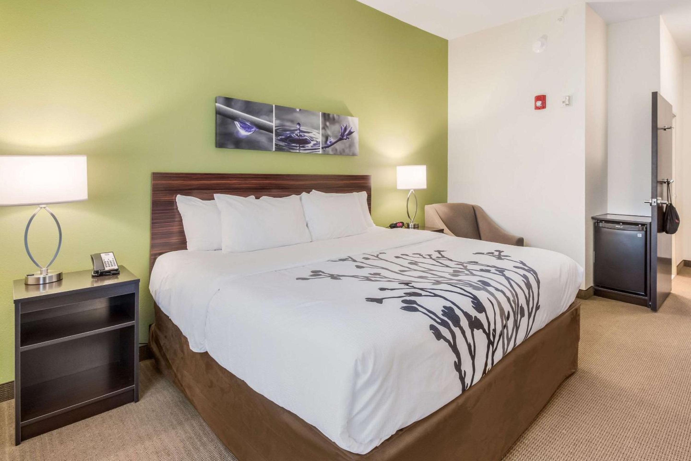 King Room - Accessible/Non-Smoking - Photo 4