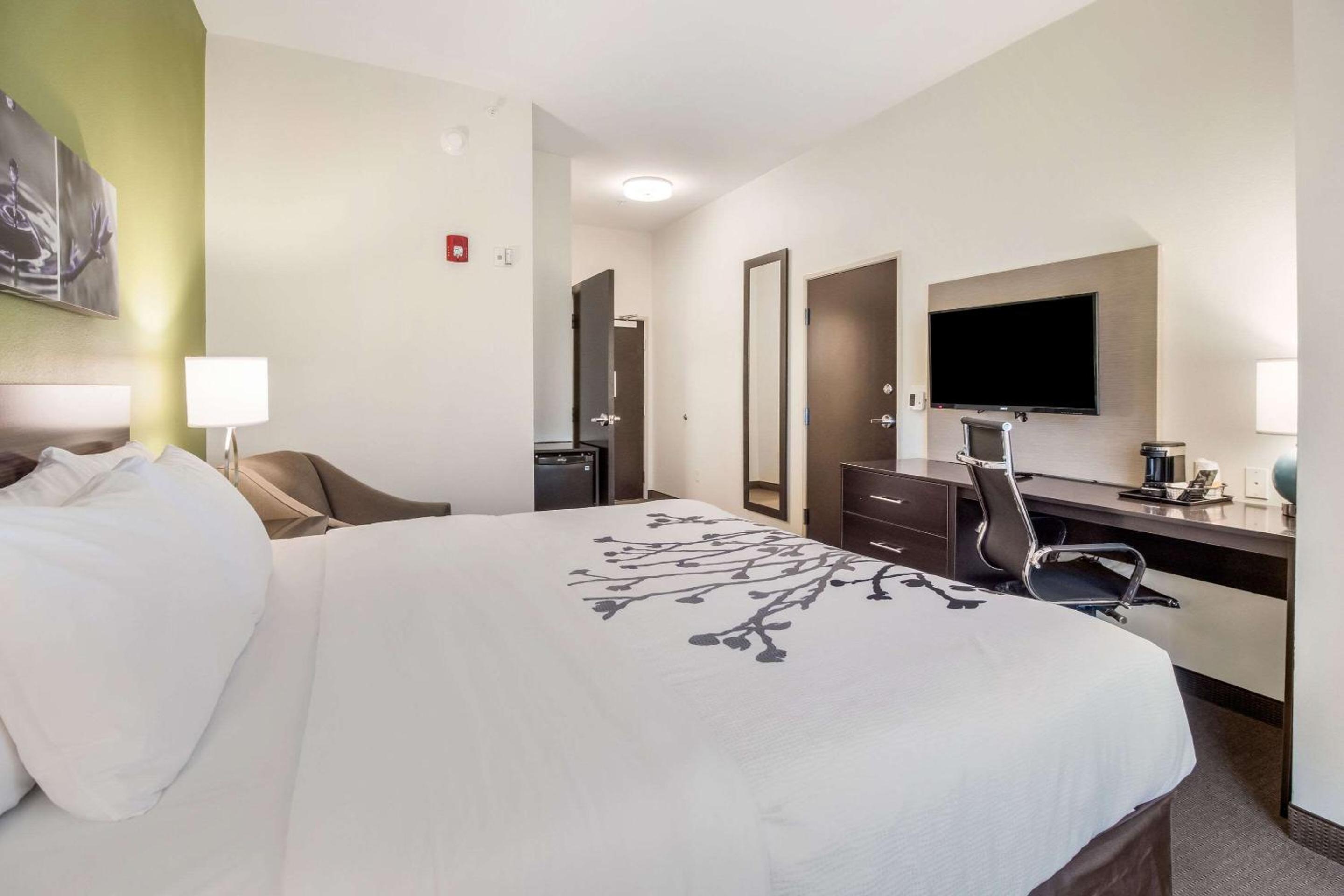 King Room - Accessible/Non-Smoking - Photo 5