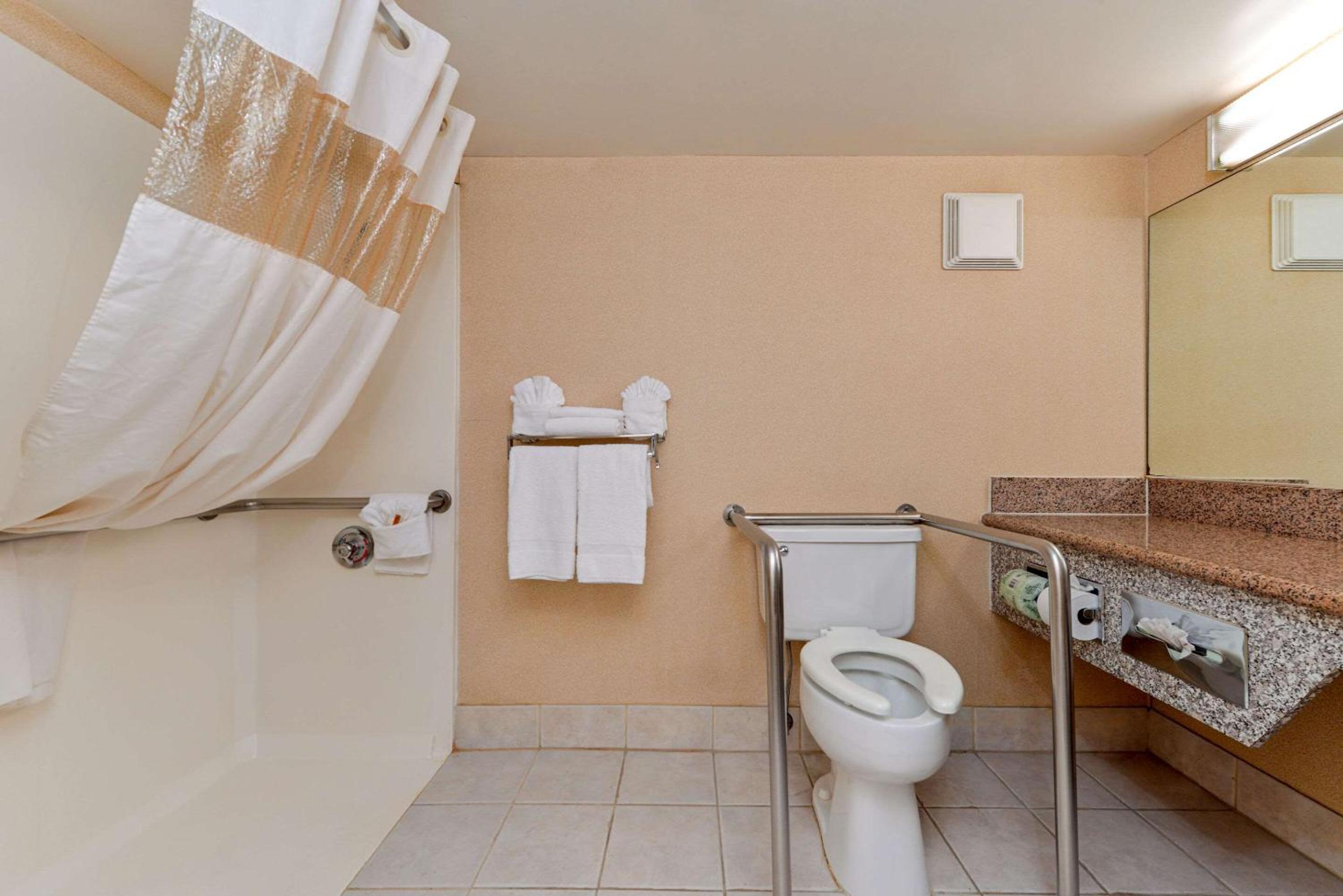 King Room With Roll-In Shower - Accessible/Non-Smoking photo 2