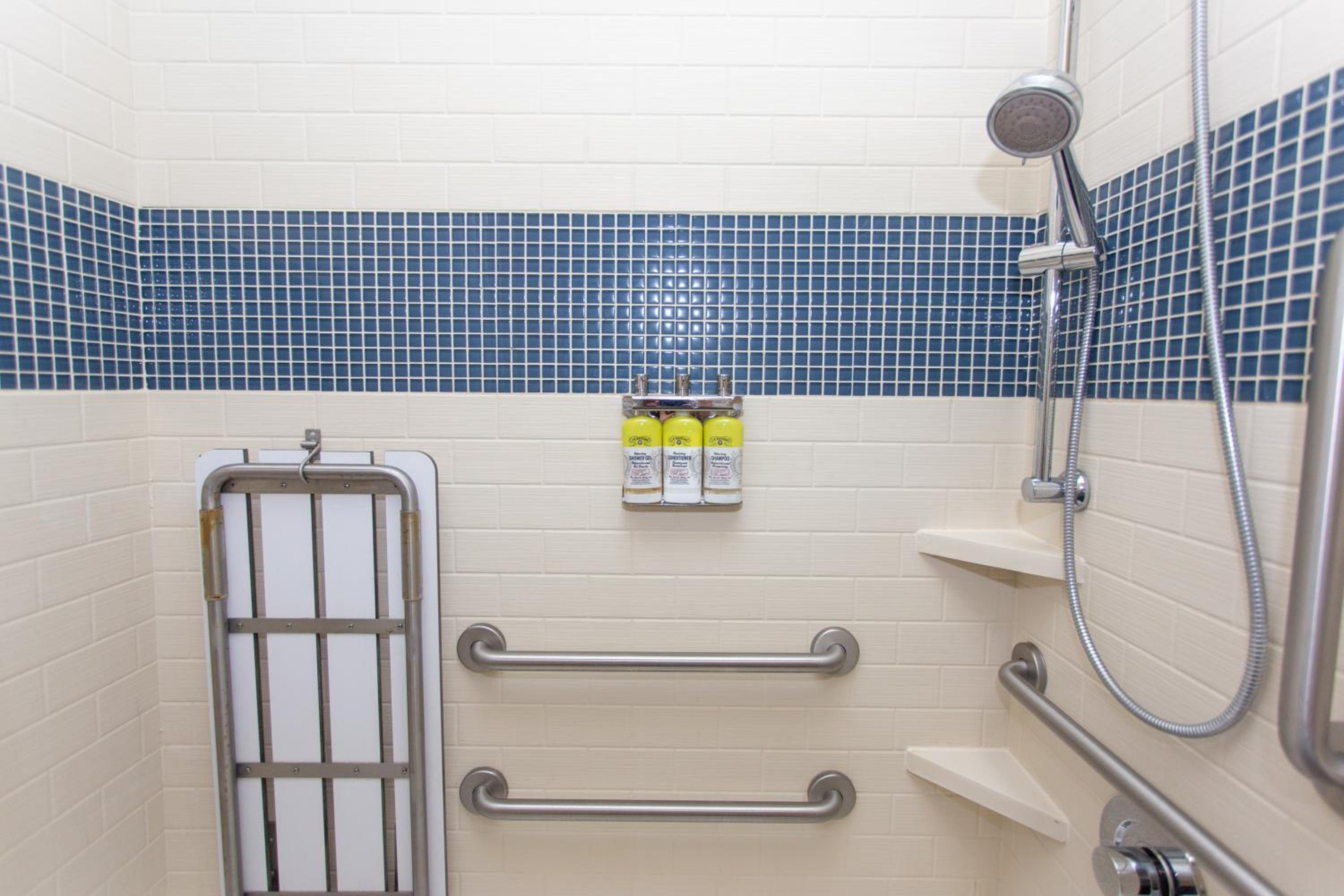 Studio Queen Suite with Accessible Roll-In Shower - Photo 6