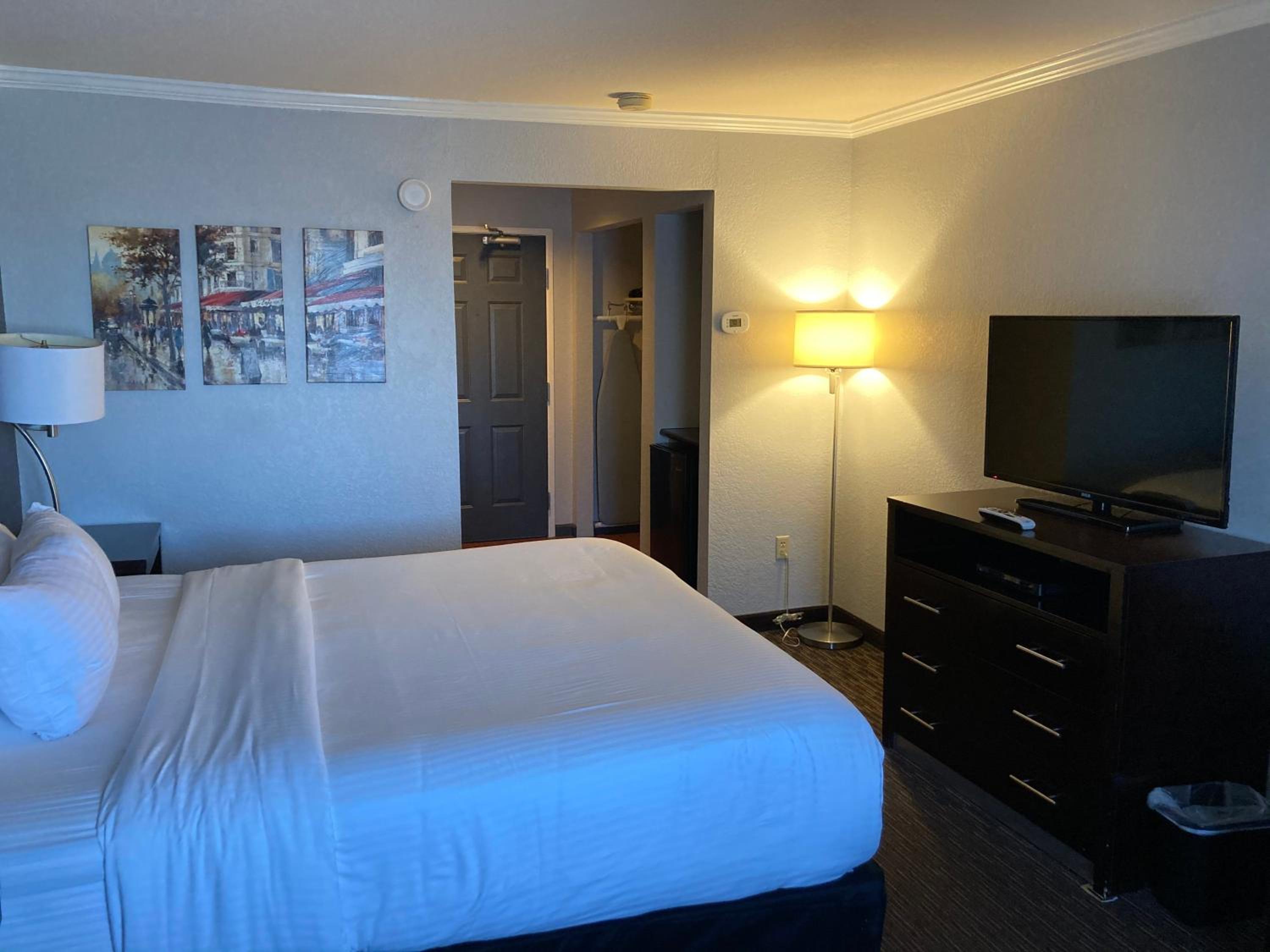 Deluxe King Suite with View - Non-Smoking - Photo 2