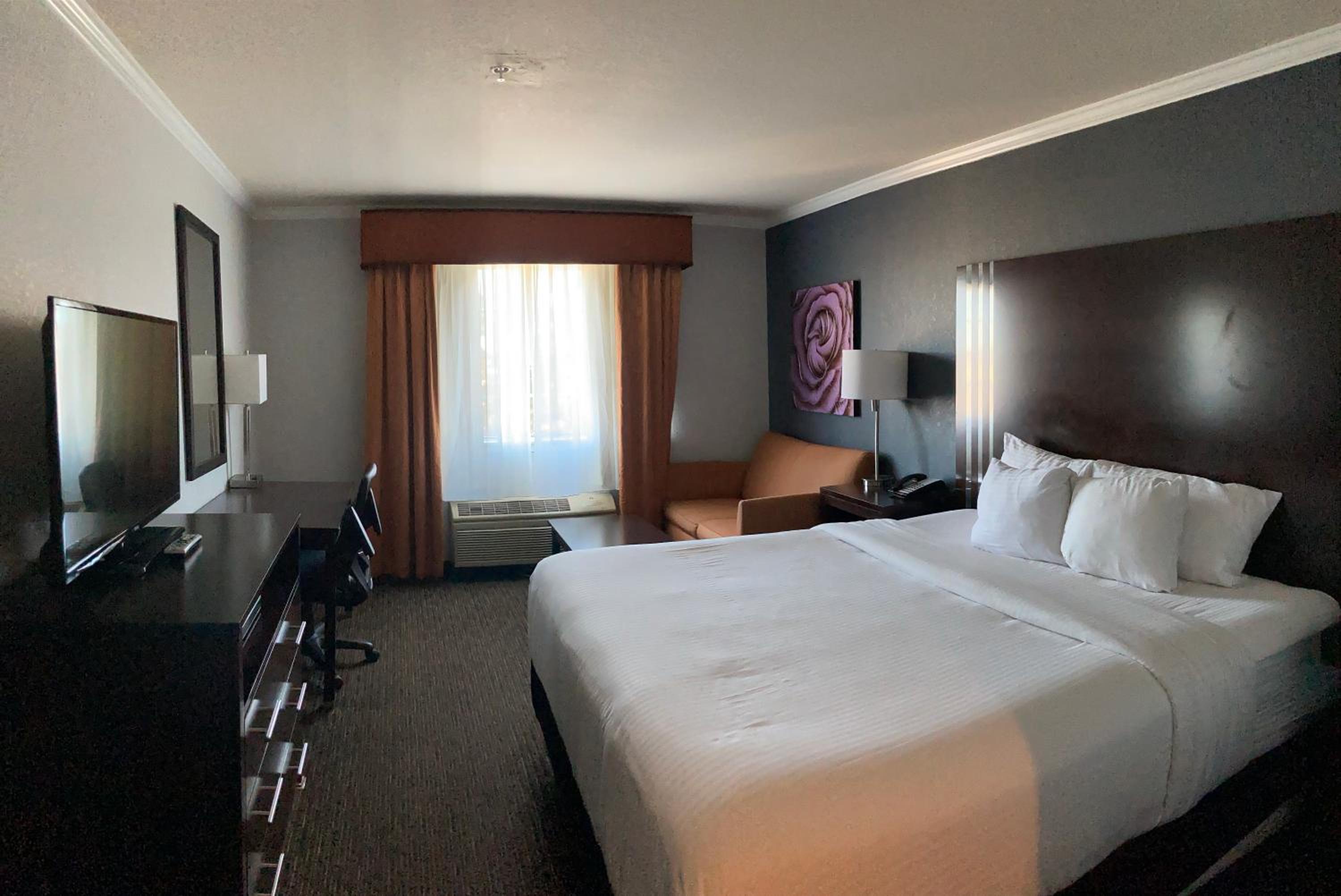 Deluxe King Suite with View - Non-Smoking - Photo 3
