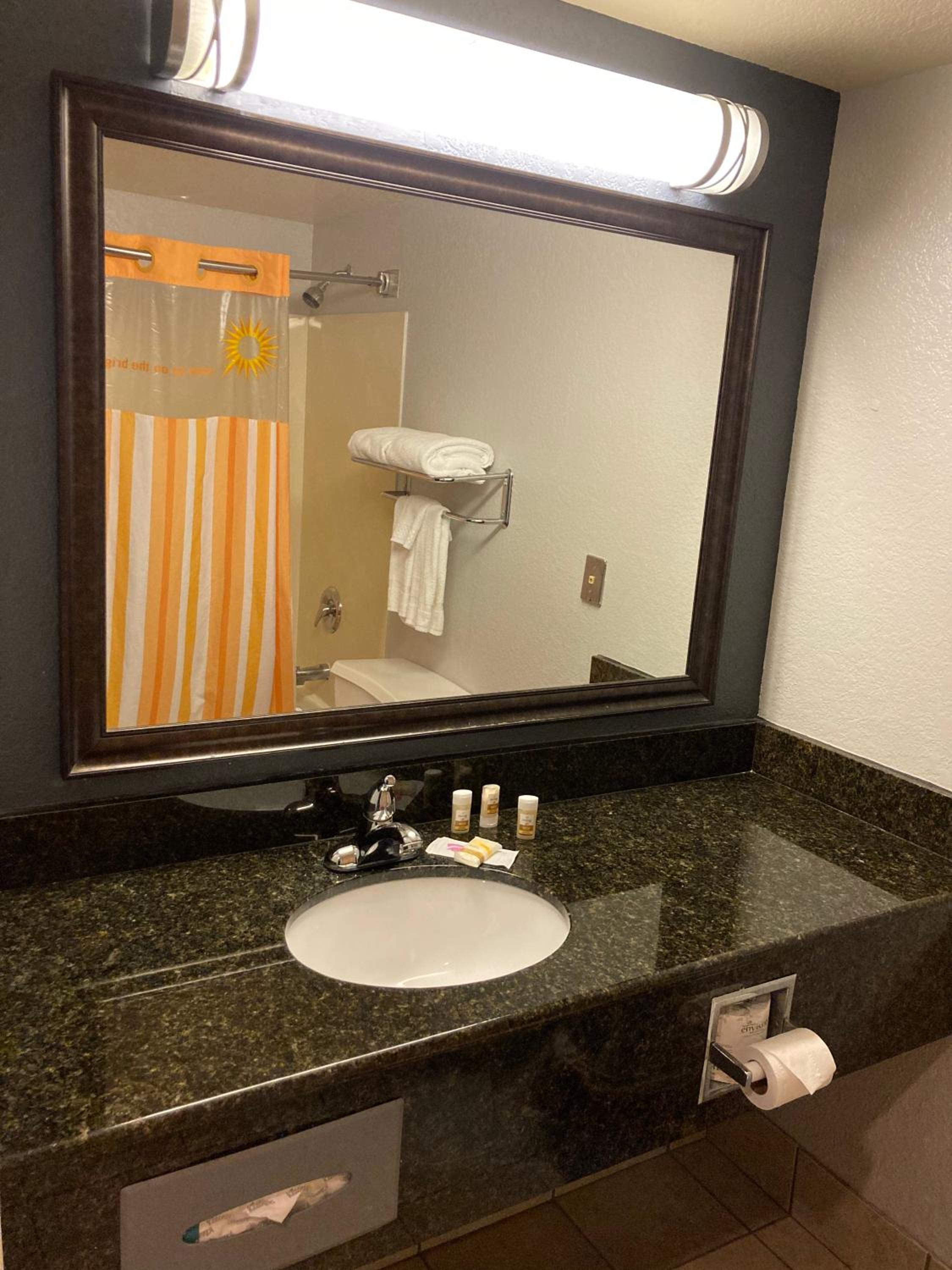 Deluxe King Suite with View - Non-Smoking - Photo 4