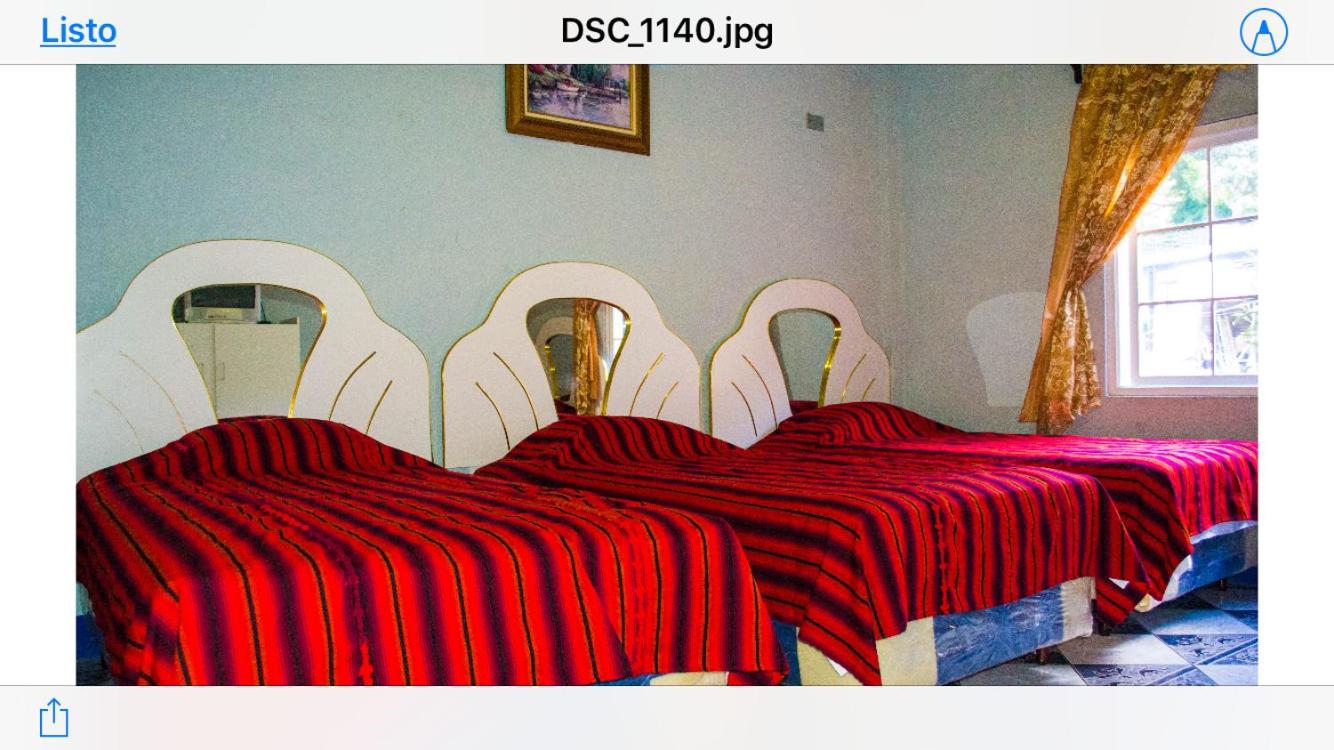 Comfort Quadruple Room photo 1