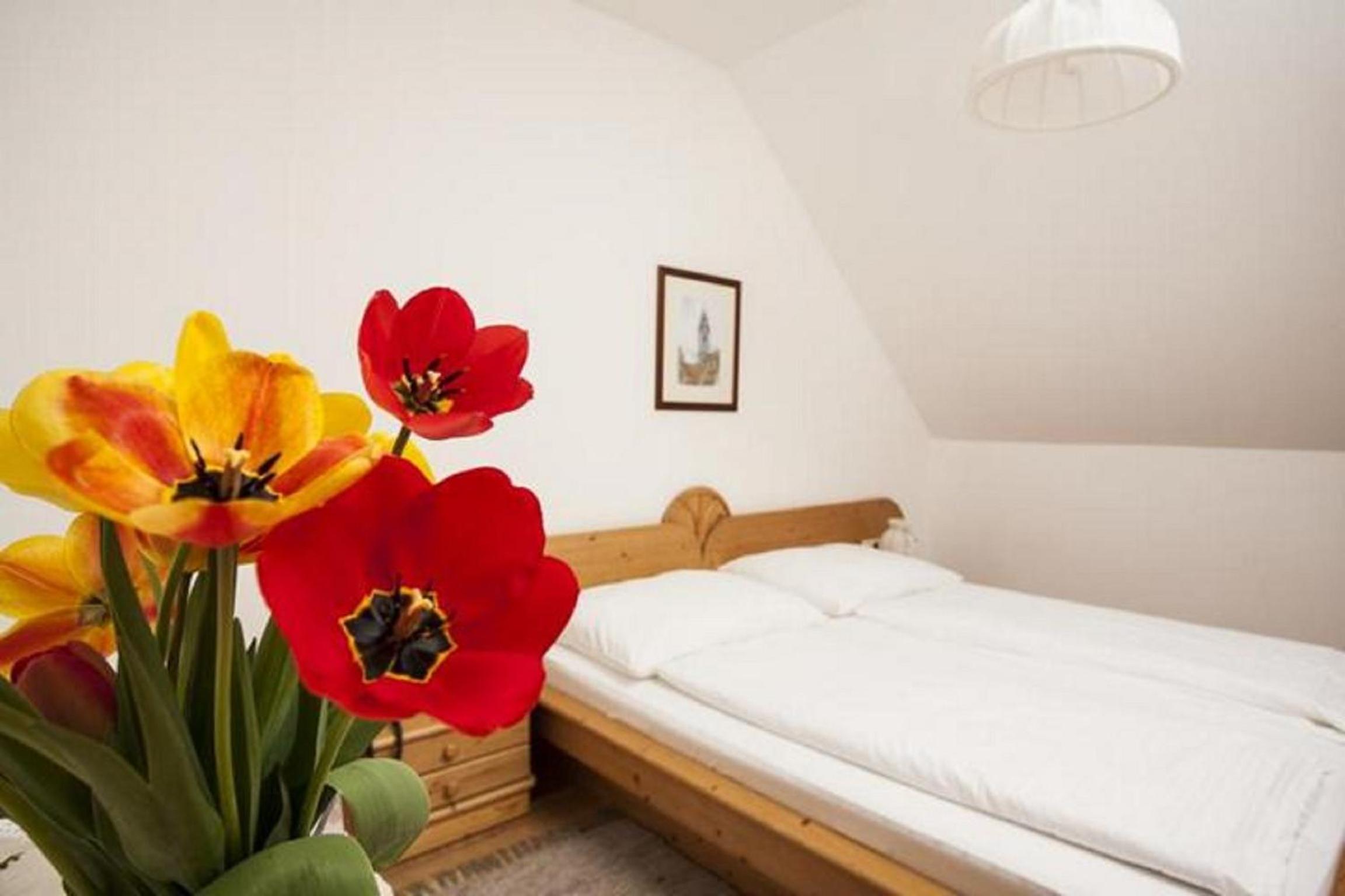 Standard Double Room 5