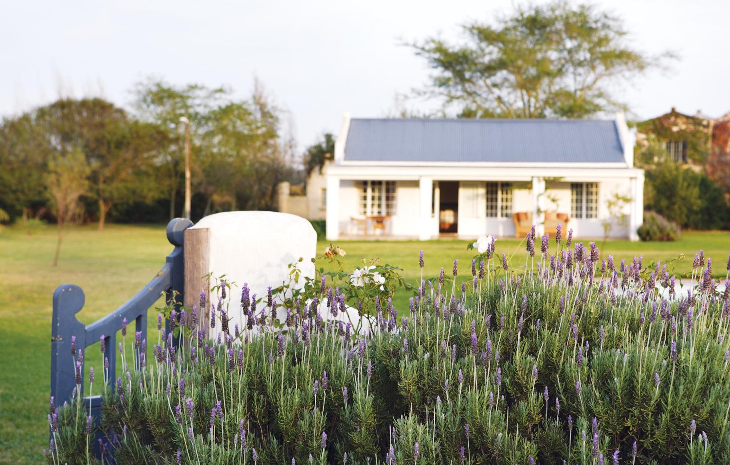 Double Cottage photo 1