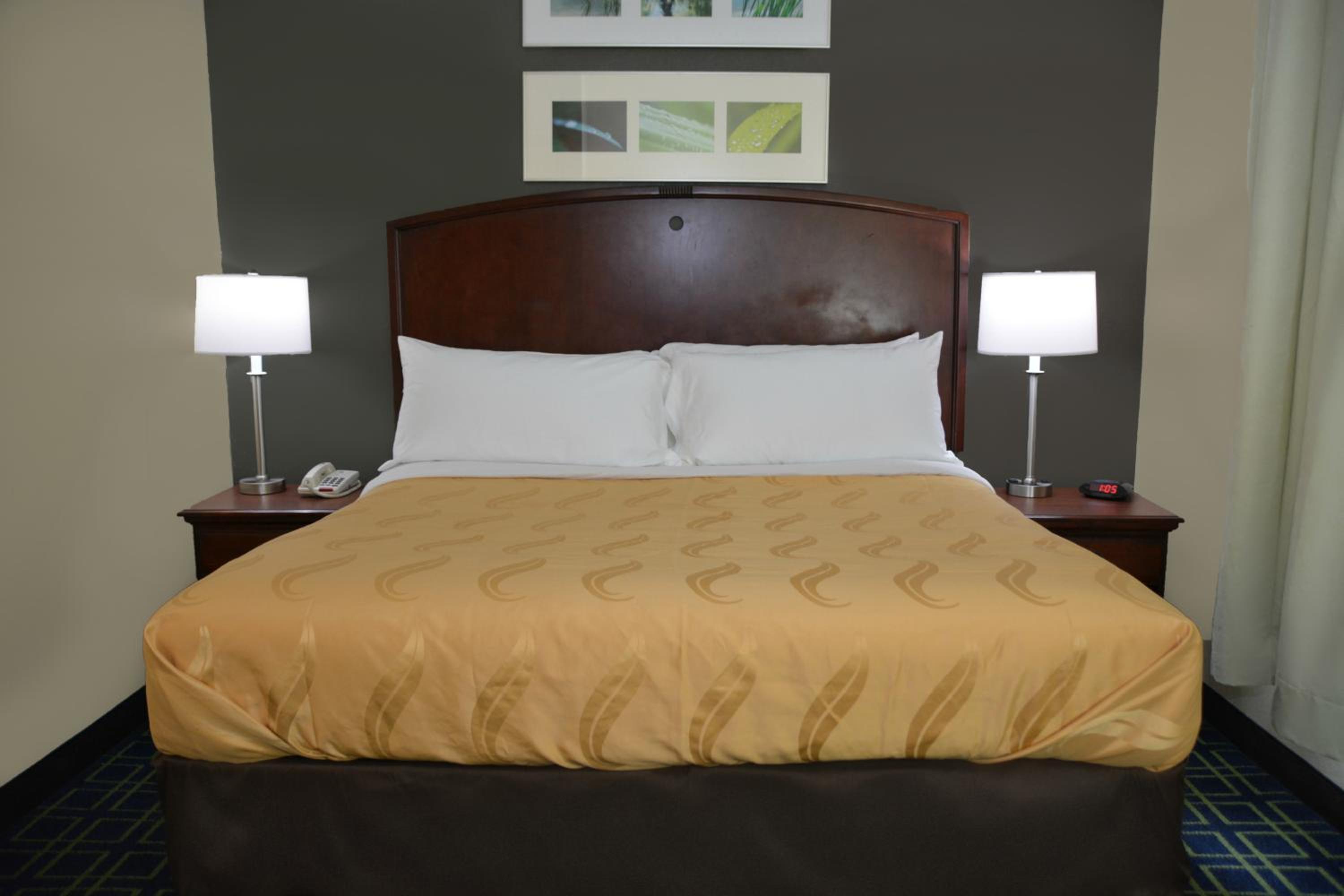 King Suite - Photo 10