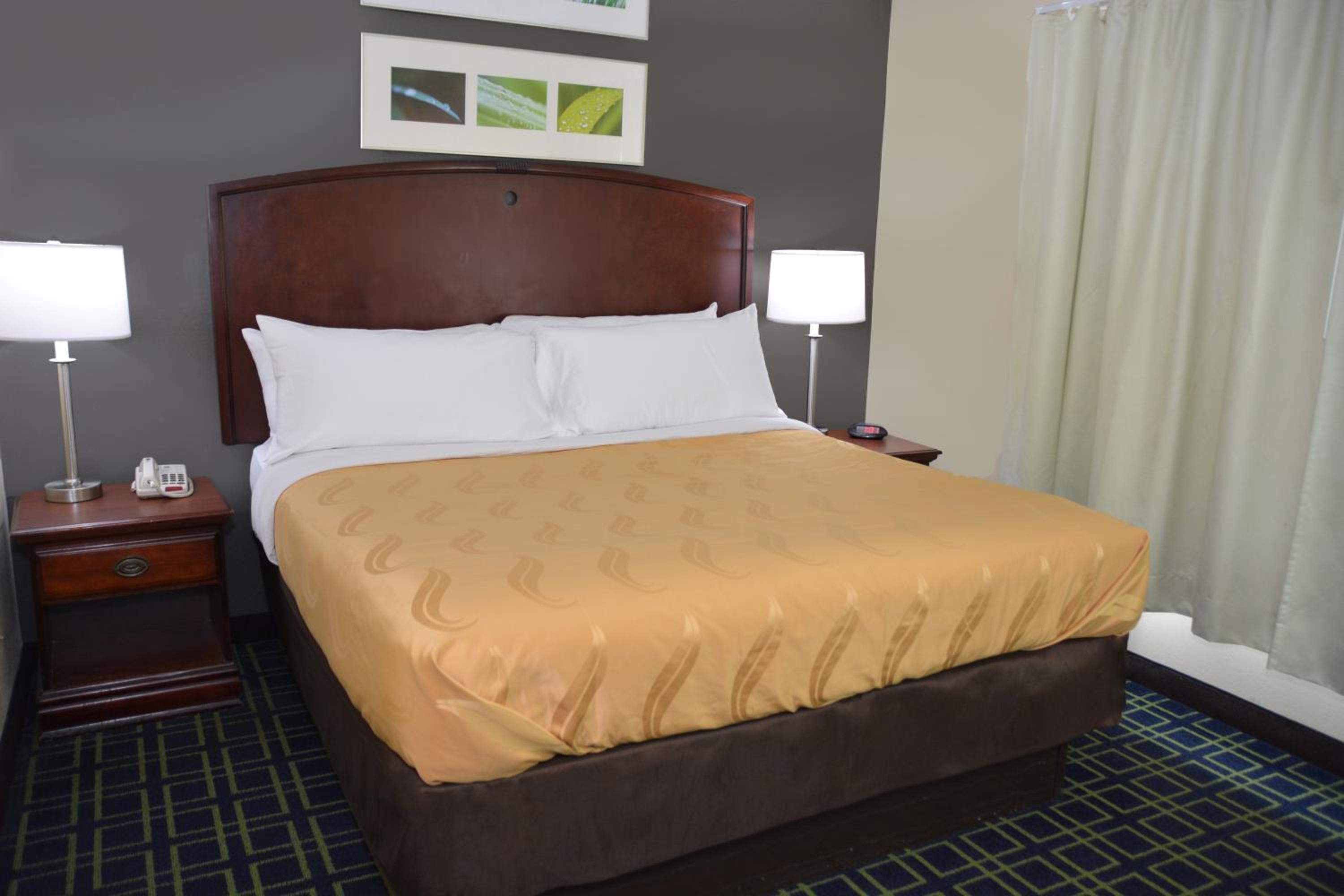 King Suite - Photo 9