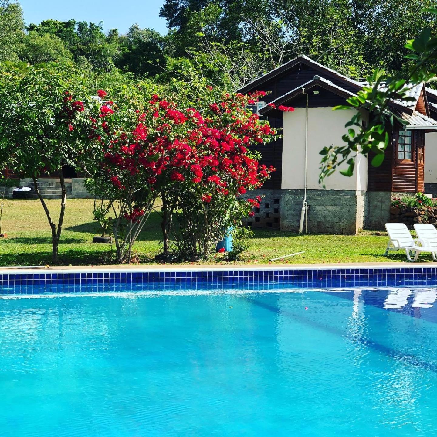 Family Bungalow - Photo 8