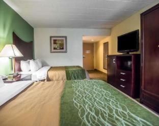 Quadruple Room with Two Queen Beds - Non Smoking/Ground floor/Pet Friendly - Photo 2