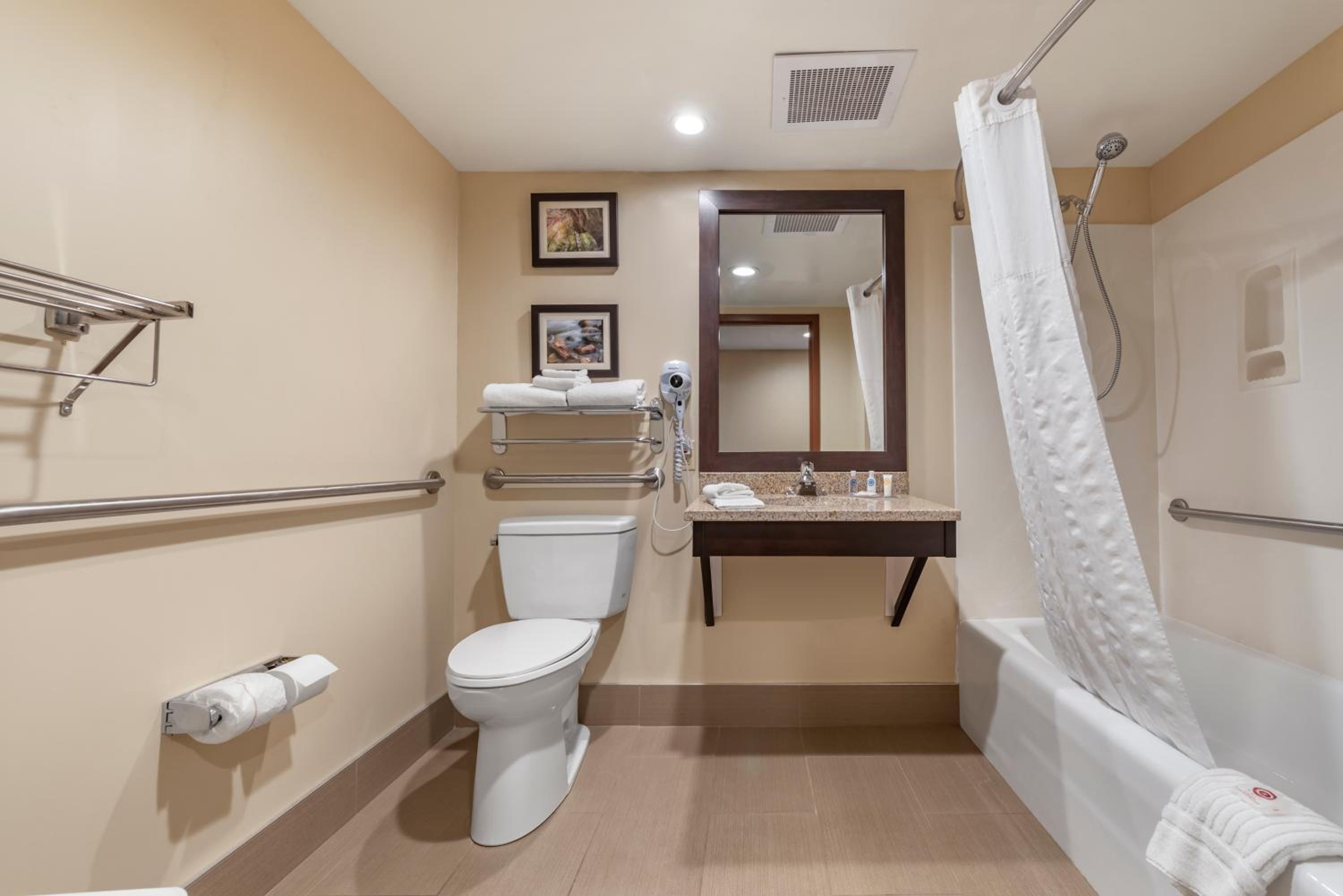 King Suite - Accessible/Non-Smoking - Photo 4