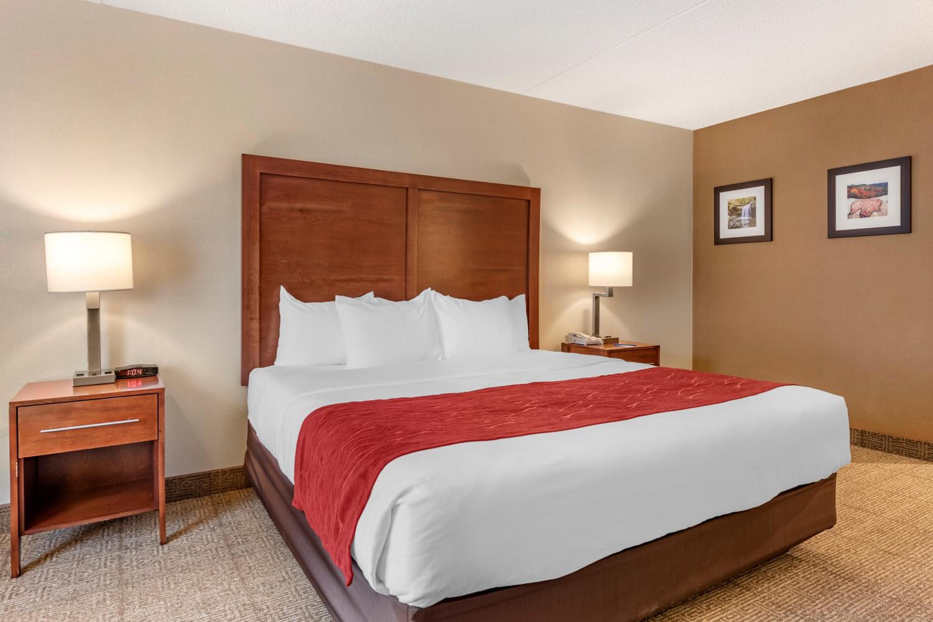 King Room - Accessible/Non-Smoking photo 3