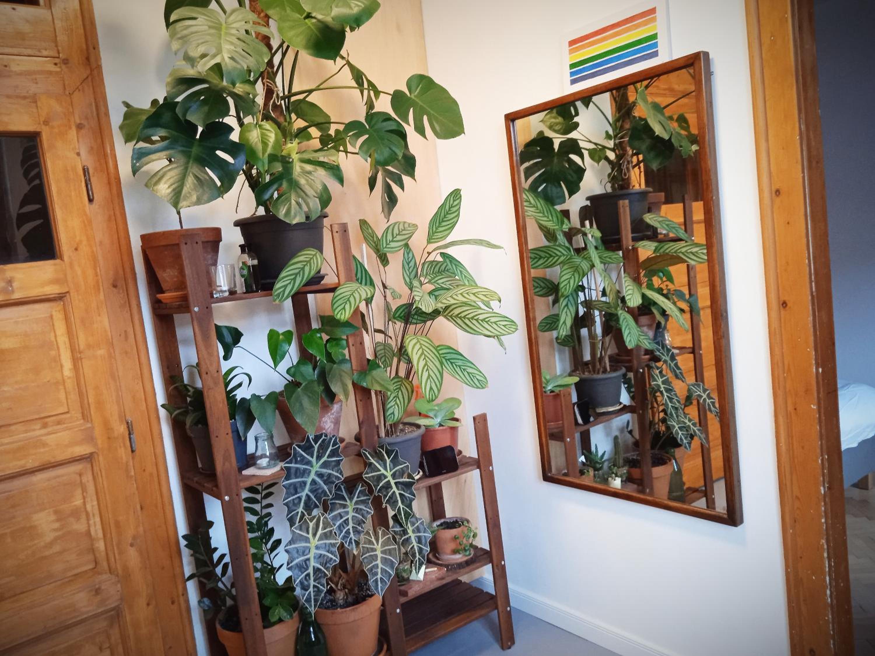Standard Apartment - Photo 27