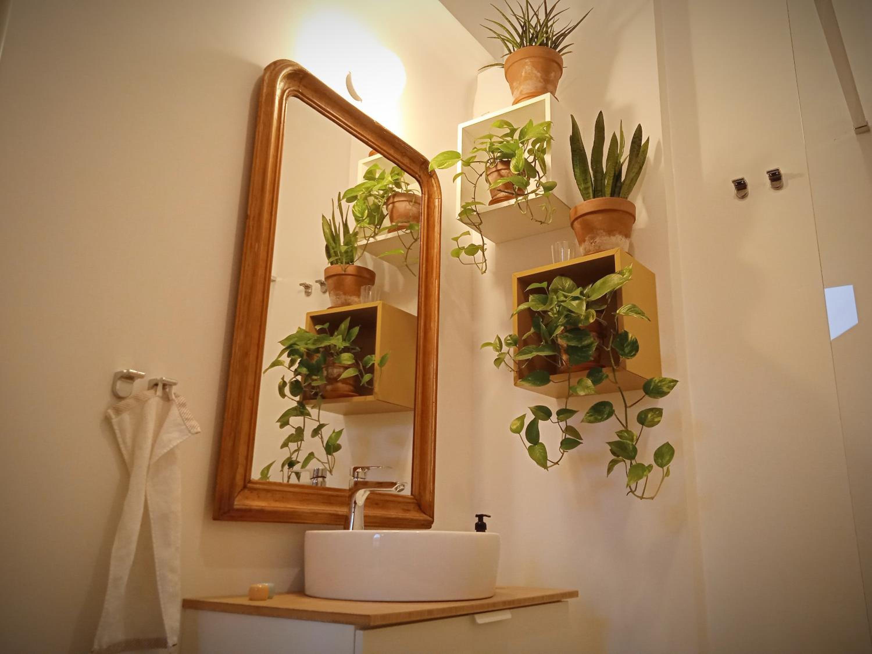 Standard Apartment - Photo 29